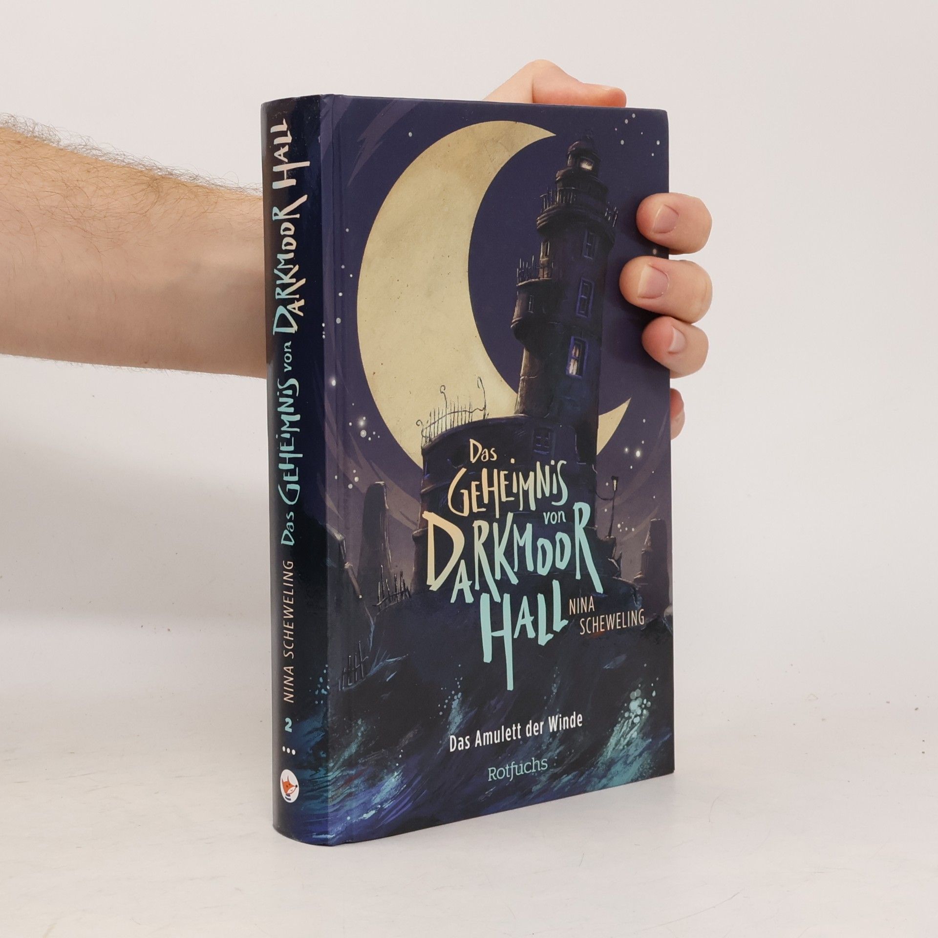 Nina Scheweling Das Geheimnis von Darkmoor Hall: Das Amulett der Winde