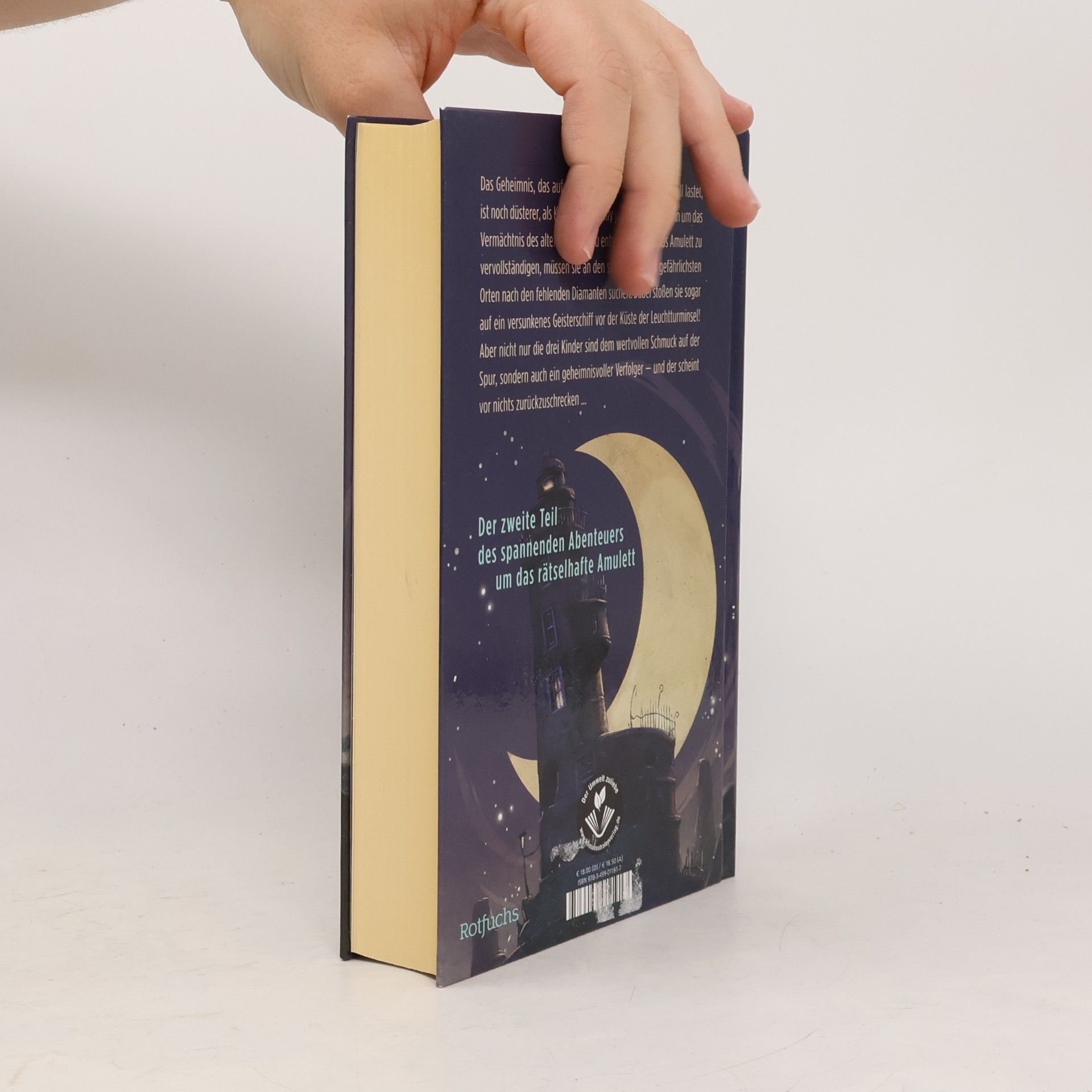 Nina Scheweling Das Geheimnis von Darkmoor Hall: Das Amulett der Winde