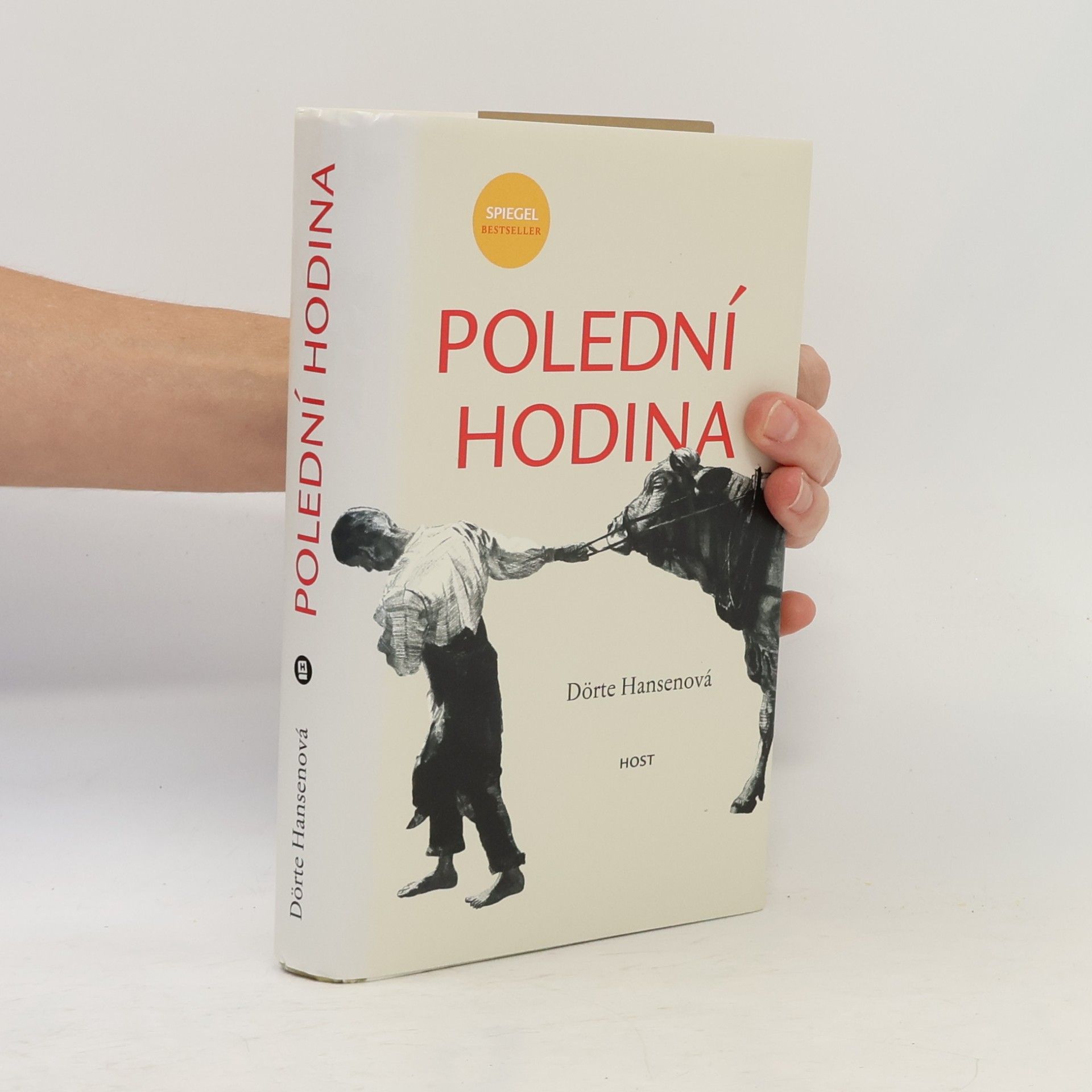Dörte Hansen Polední hodina