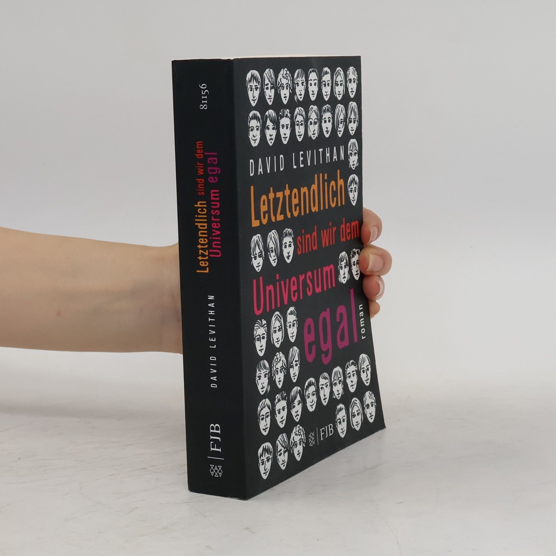 David Levithan Letztendlich sind wir dem Universum egal