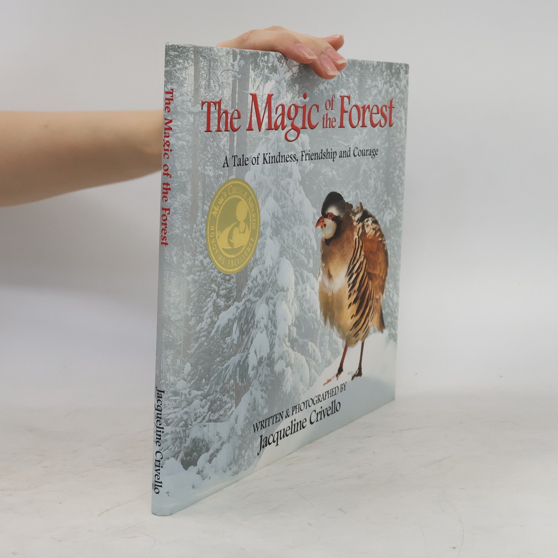 Jacqueline Crivello The Magic of the Forest