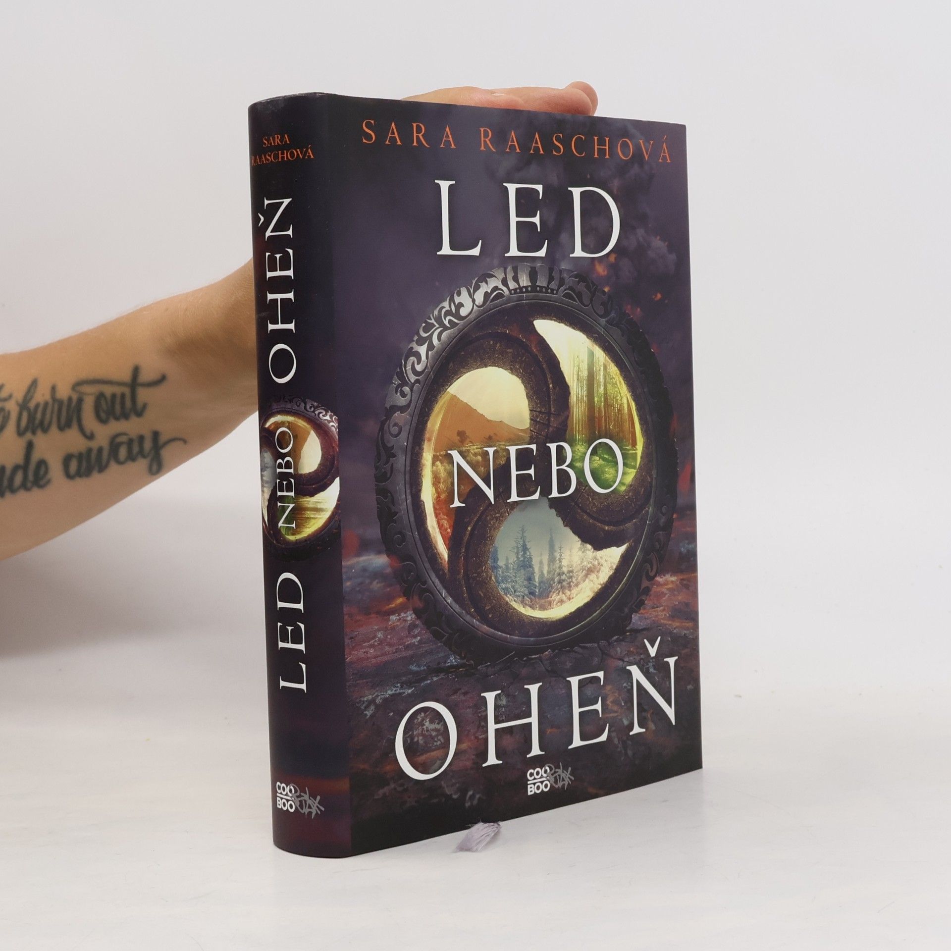 Sara Raash Led nebo oheň