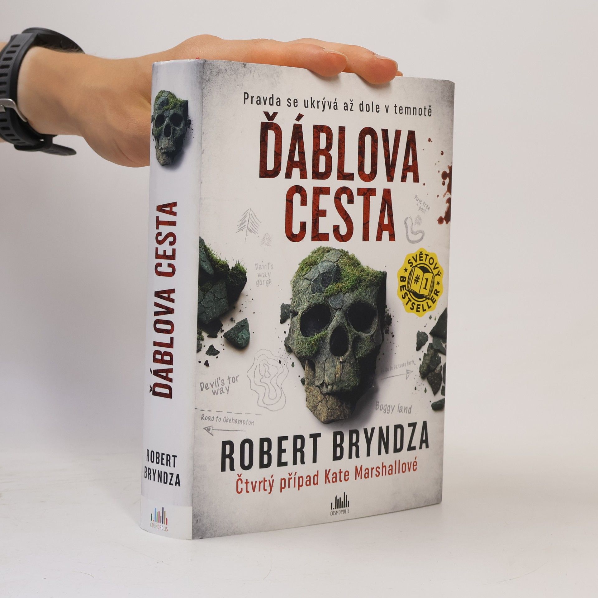 Robert Bryndza Ďáblova cesta