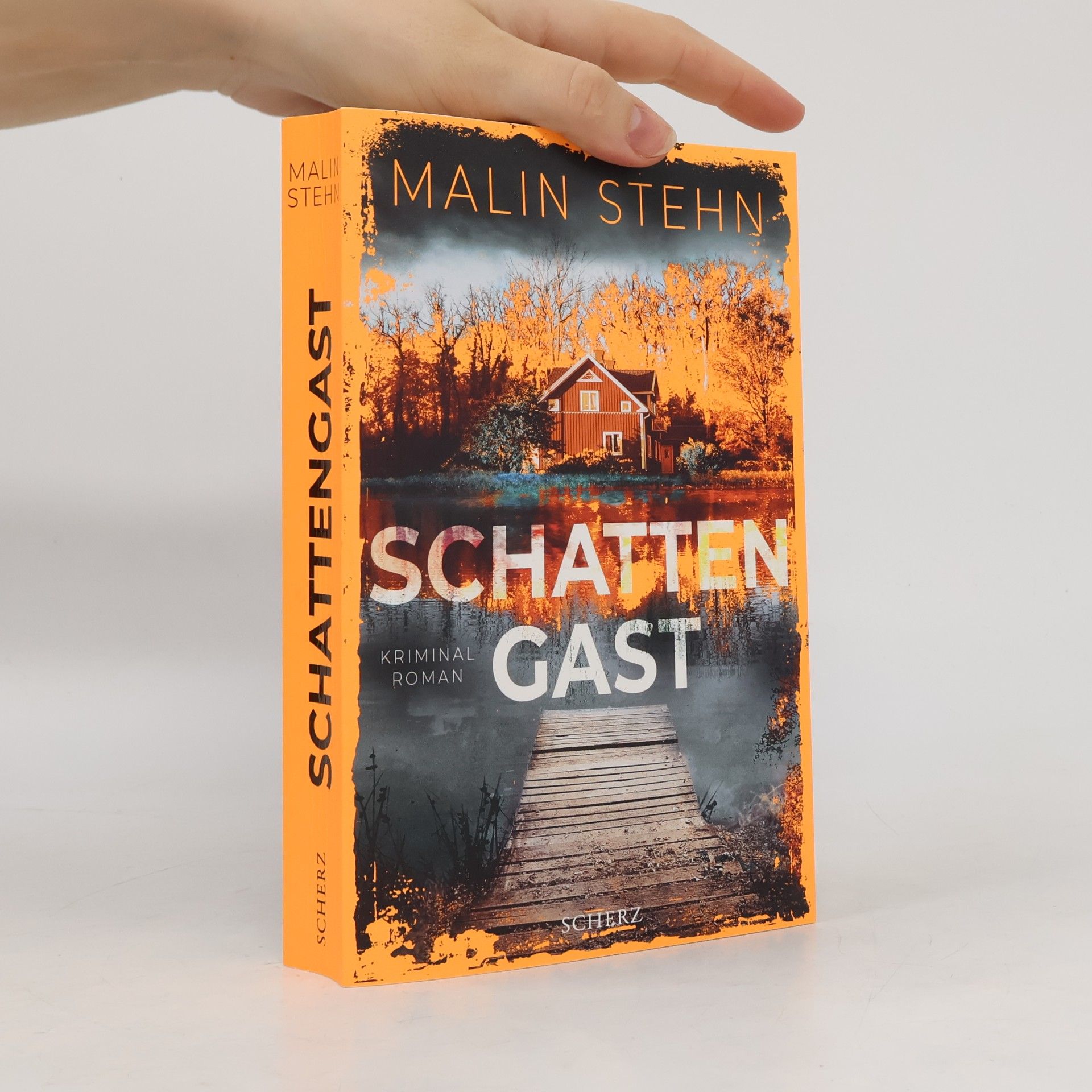 Malin Stehn Schattengast