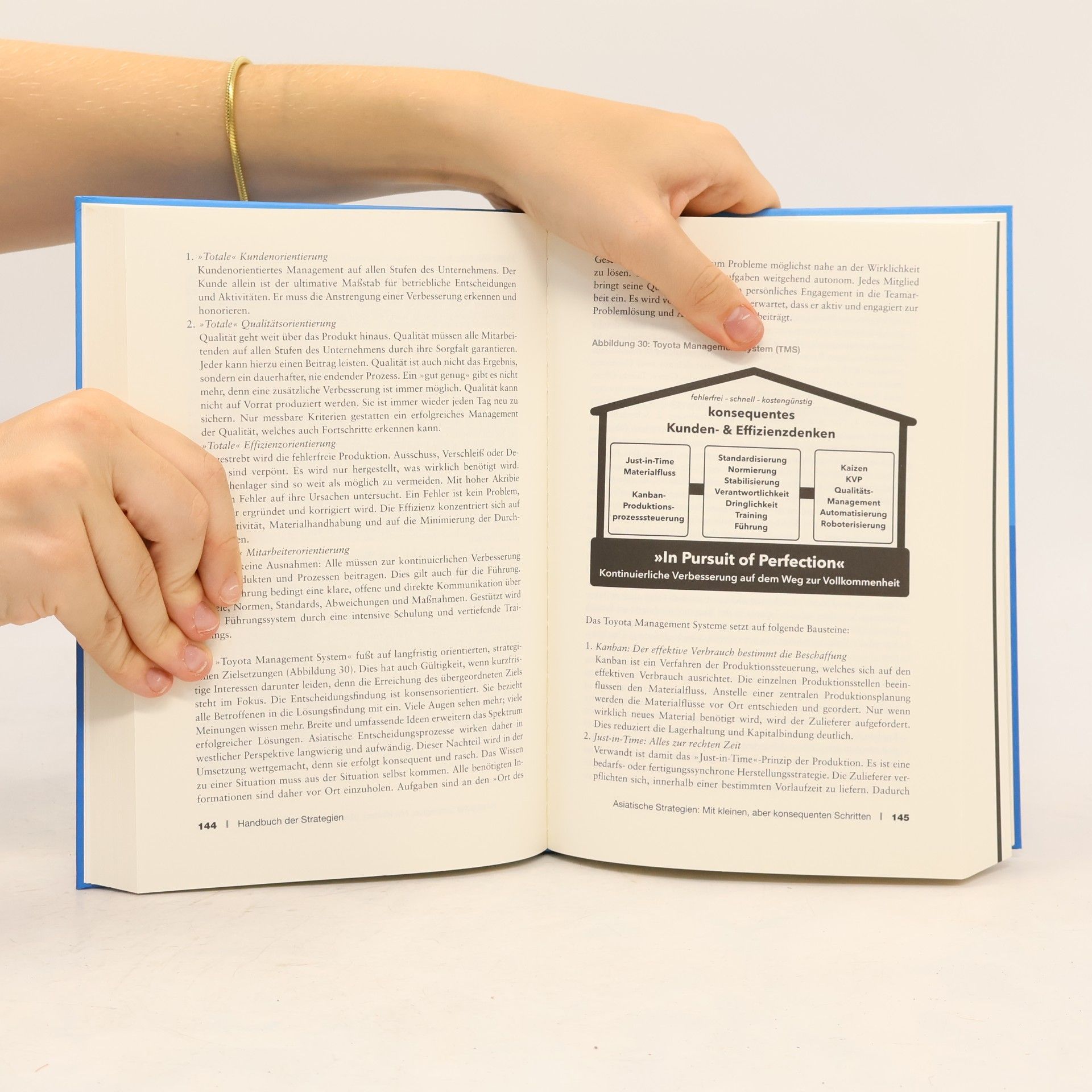 Ralph Scheuss Handbuch der Strategien