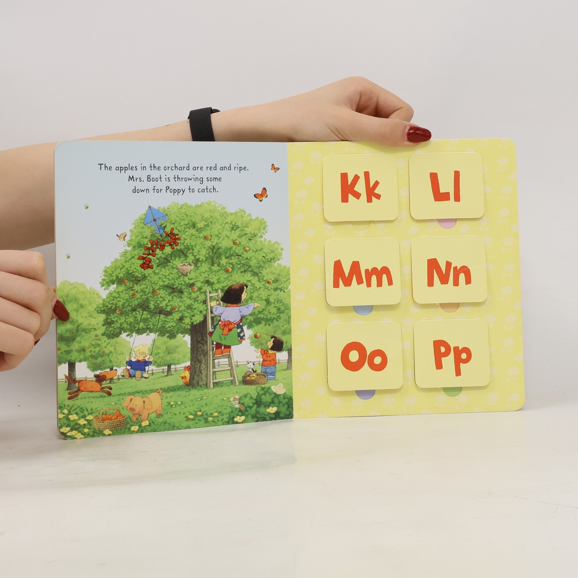 Stephen Cartwright ABC Flap Book