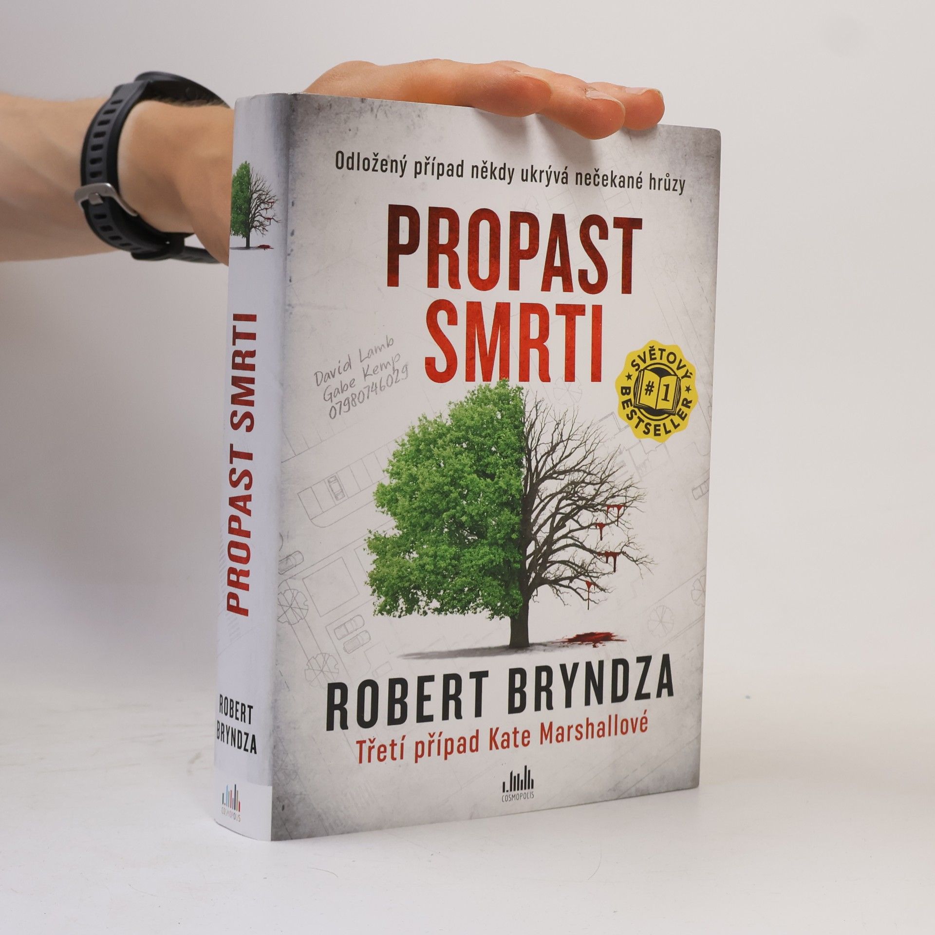 Robert Bryndza Propast smrti