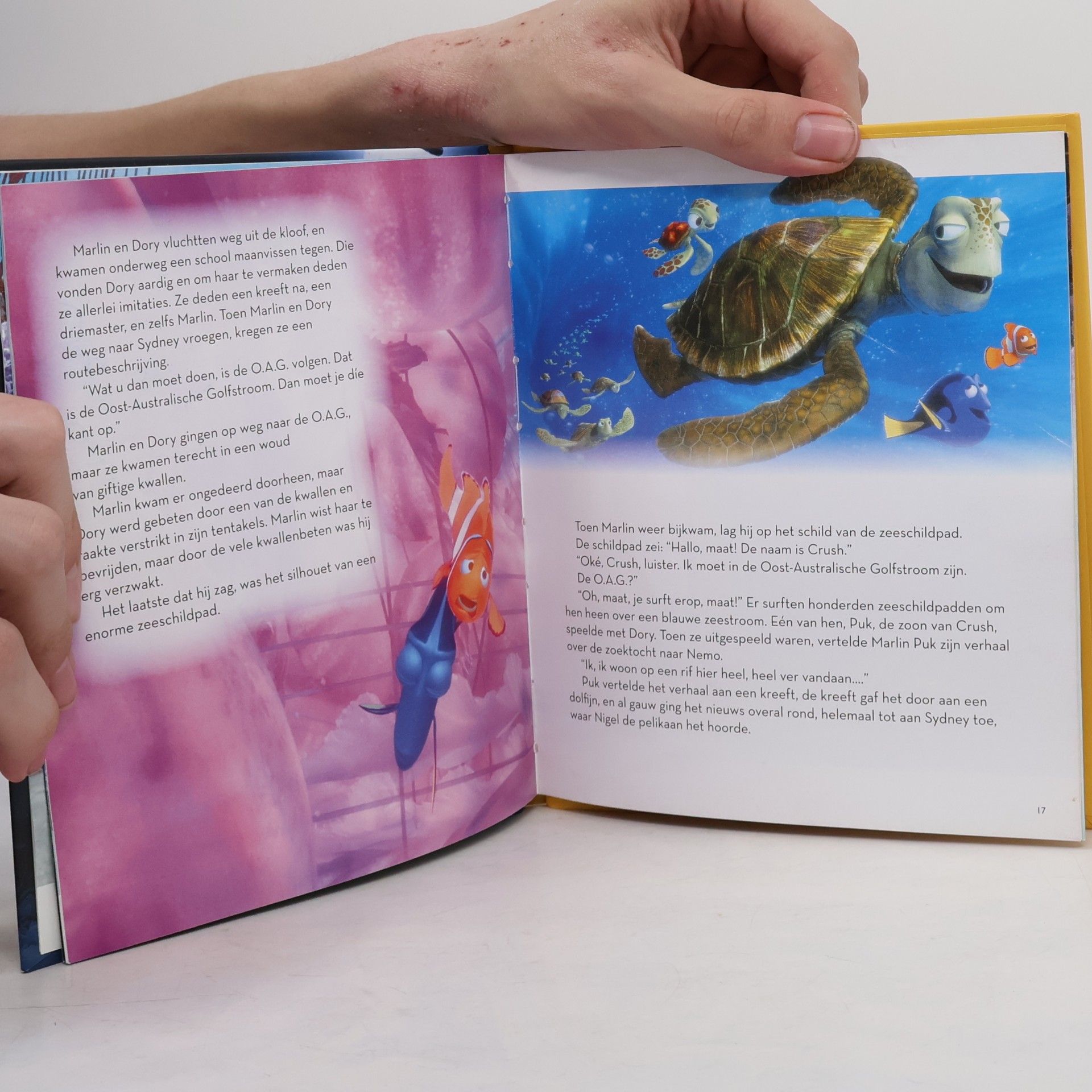 Autorenkollektiv Op zoek naar Nemo