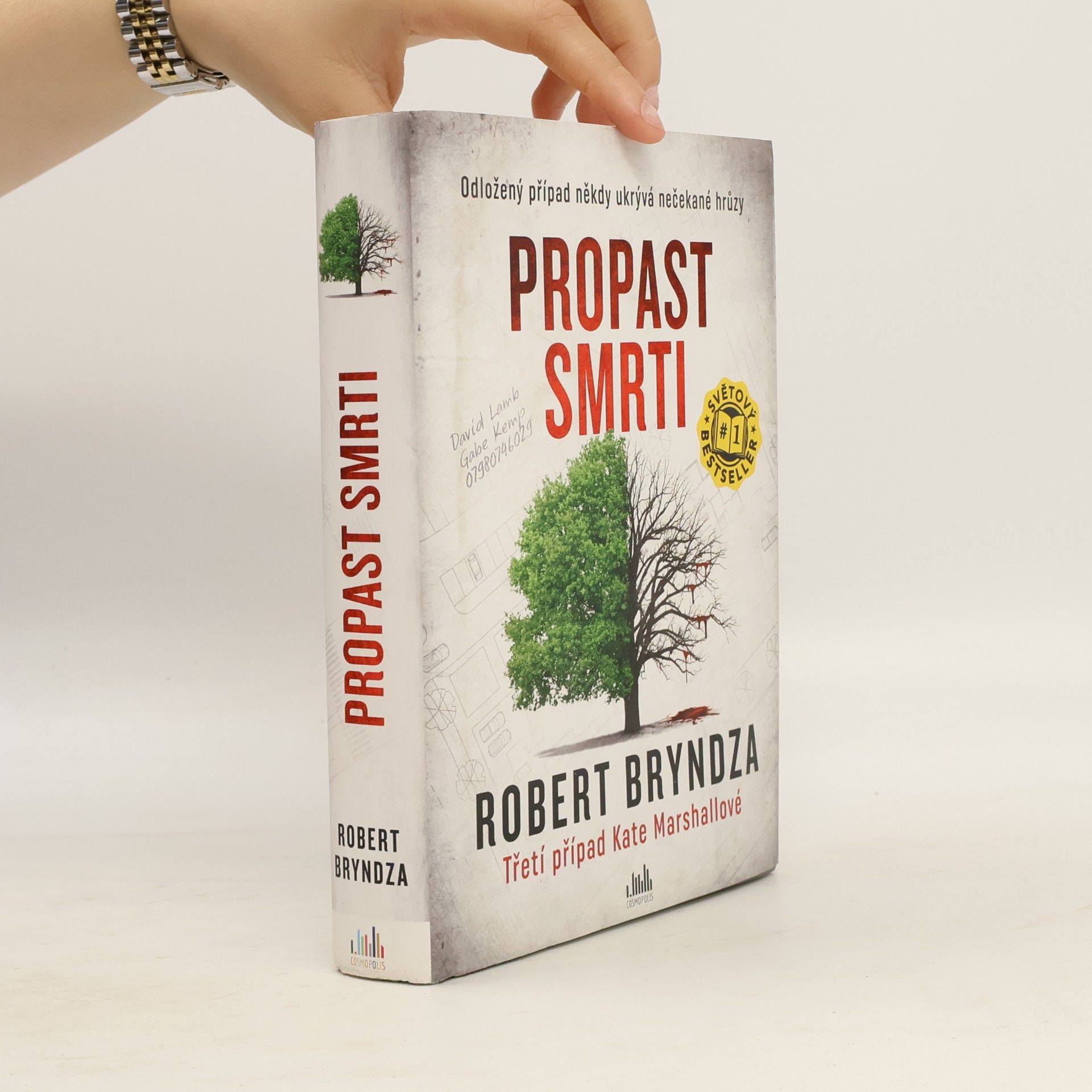 Robert Bryndza Propast smrti