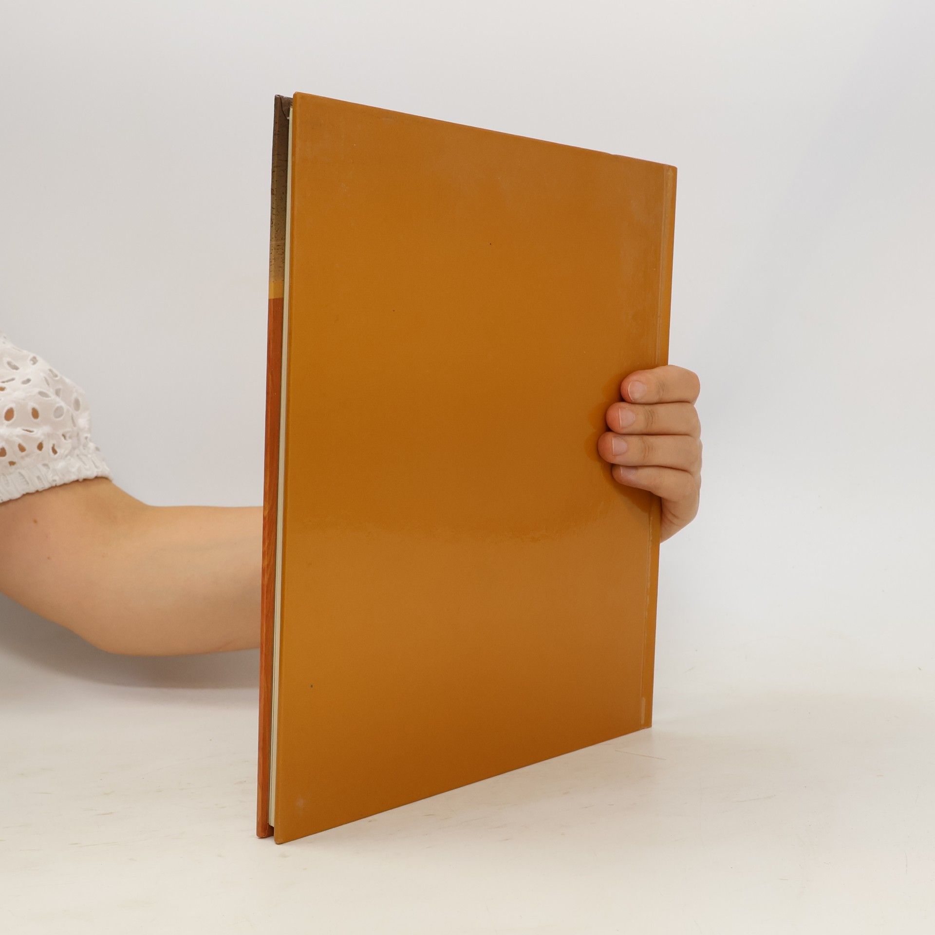 Elen Phillips Handbuch des Heimwerkers : Arbeiten mit Holz