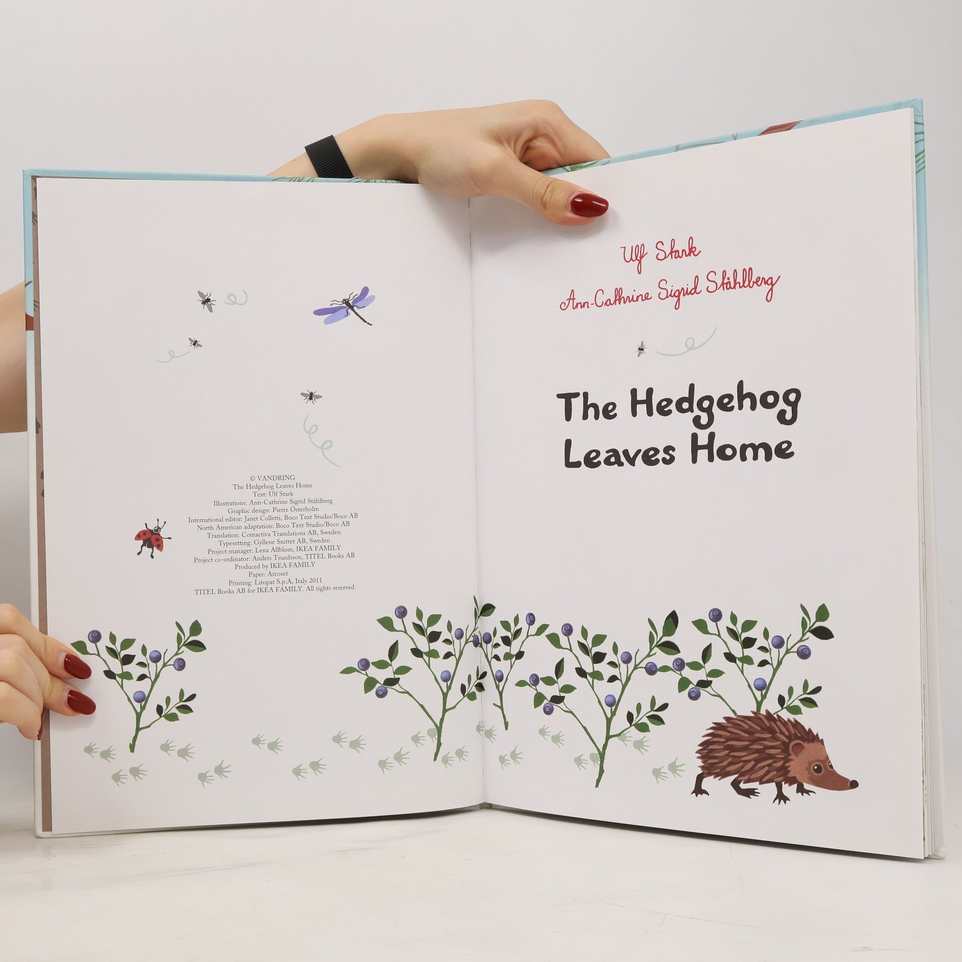 Ulf Stark The Hedgehog Leaves Home