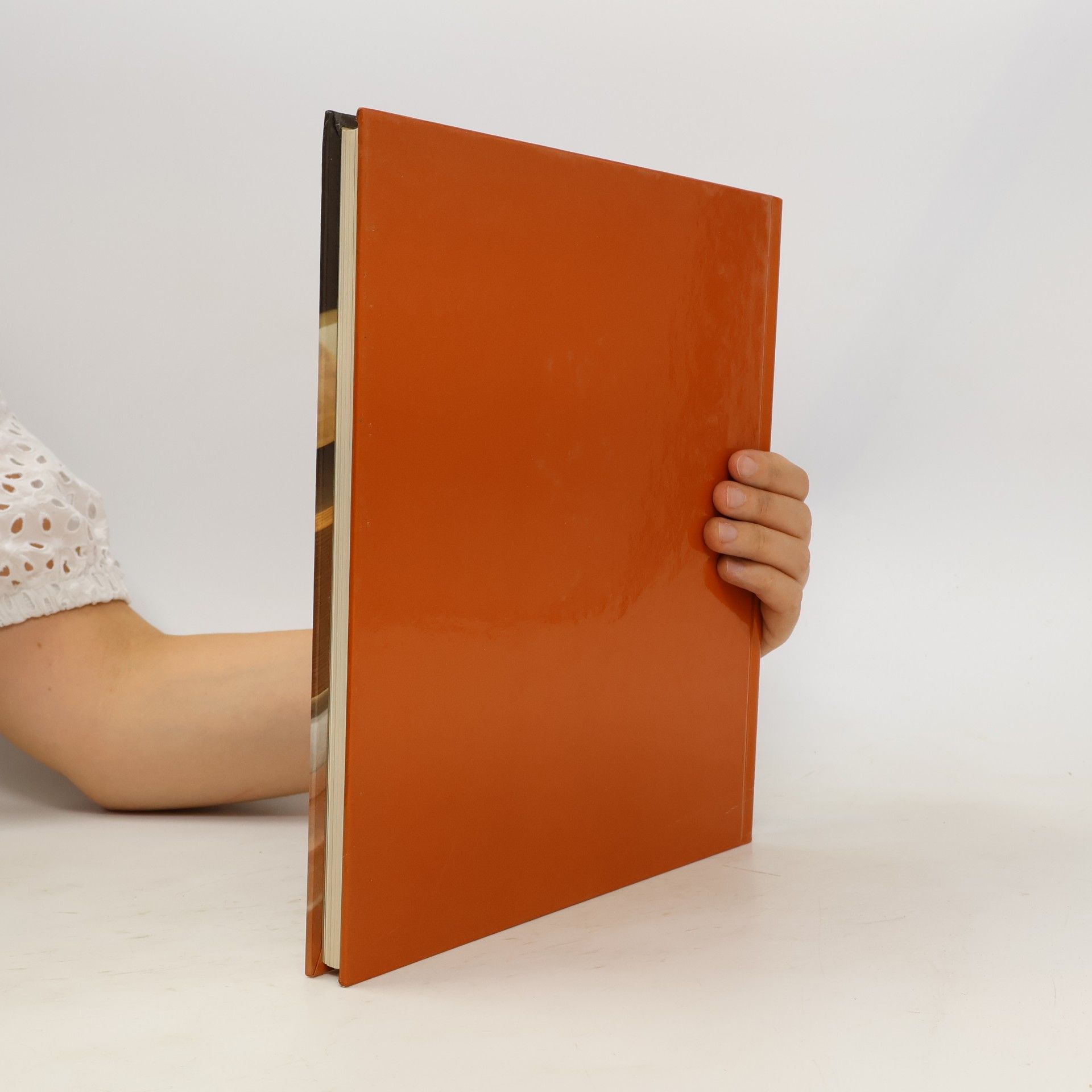 Marianne Tölle Arbeiten mit Kunststoff