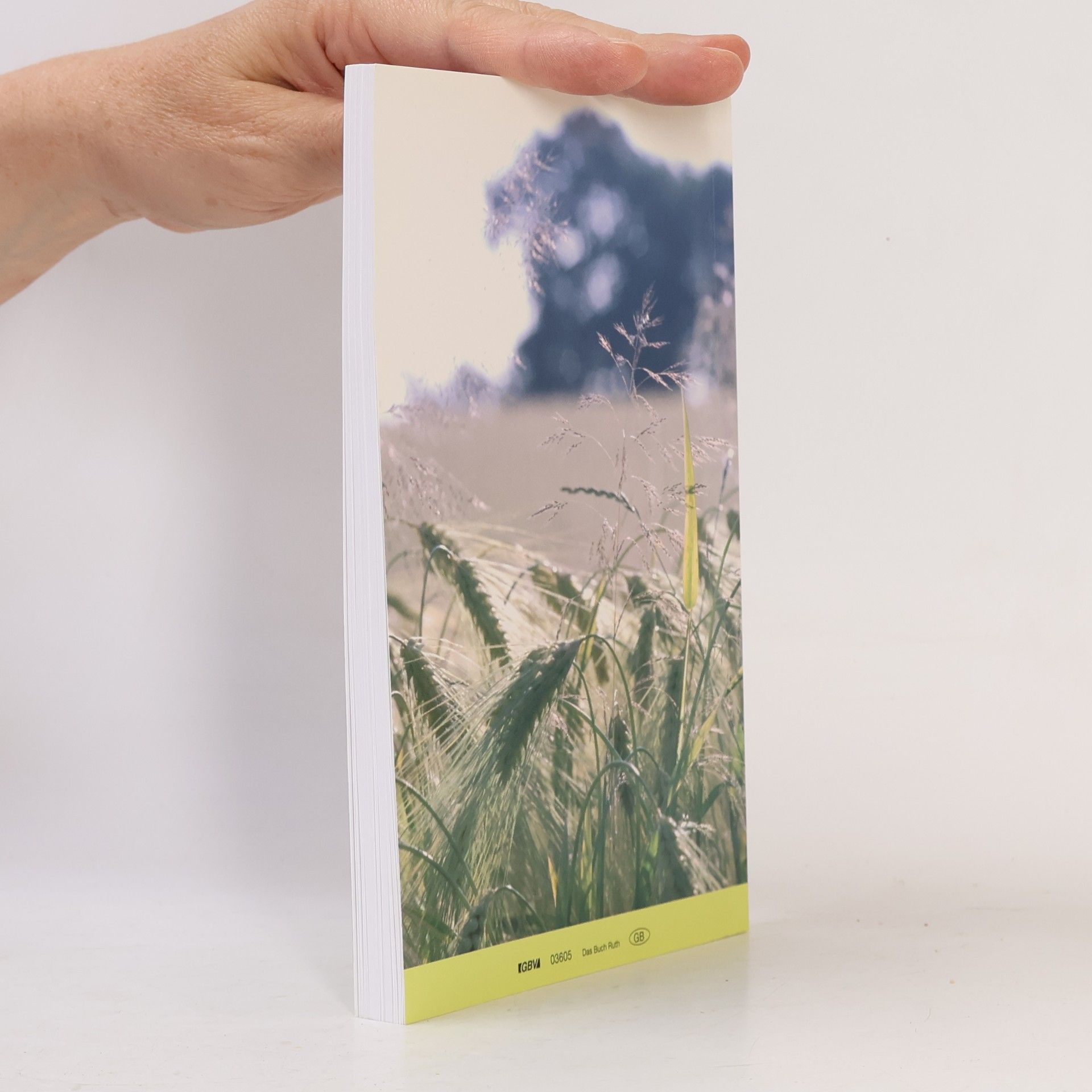 H. L. Heijkoop The Book of Ruth