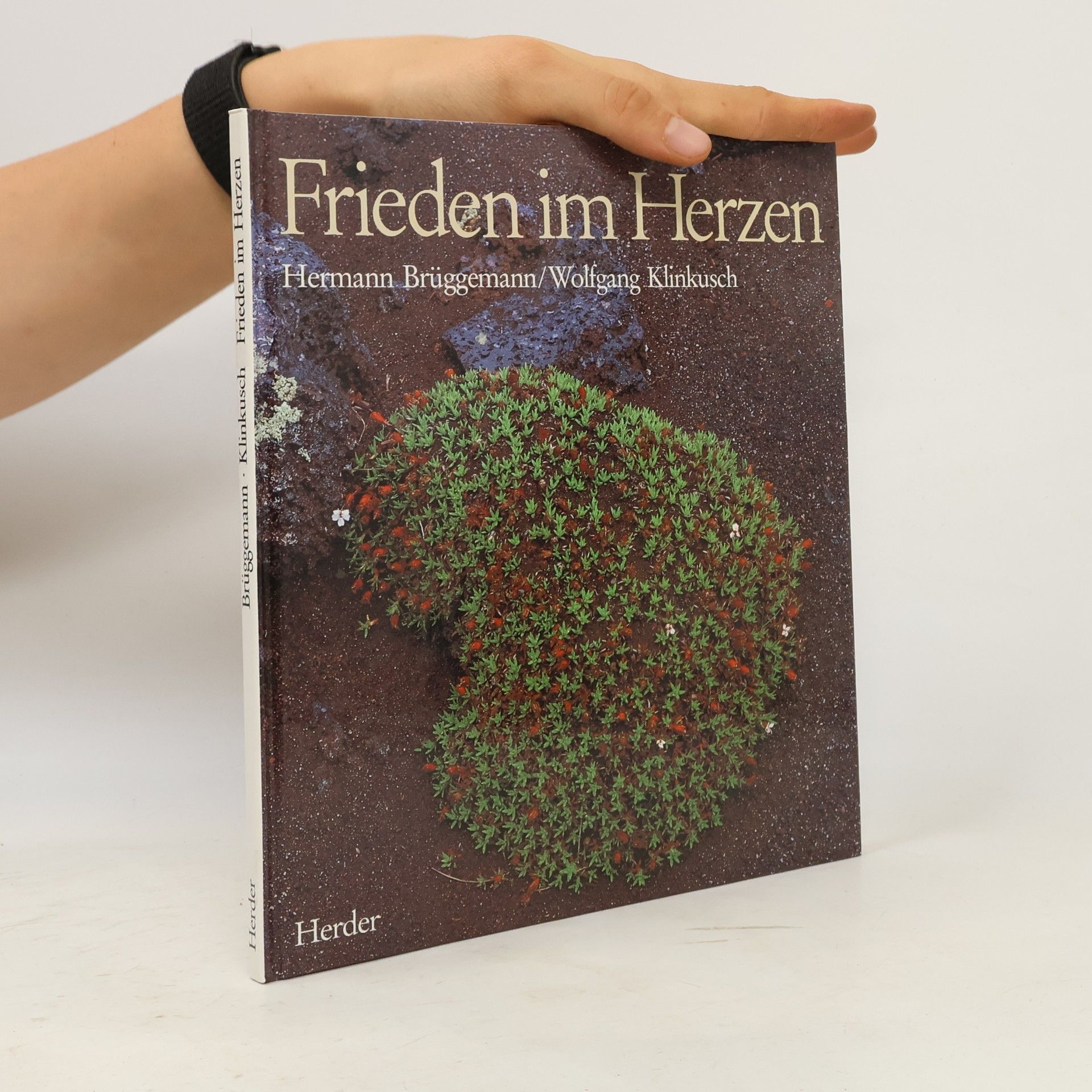 Wolfgang Klinkusch Frieden im Herzen