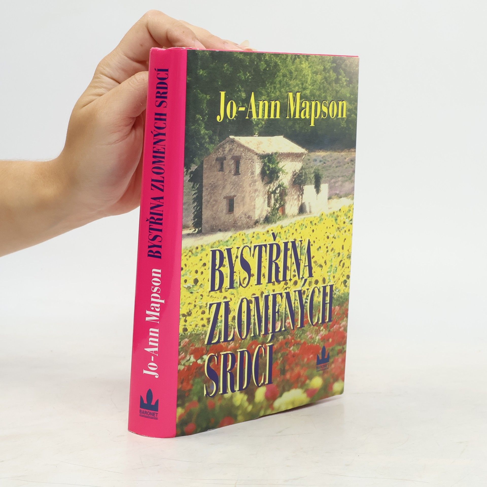 Jo Ann Mapson Bystřina zlomených srdcí