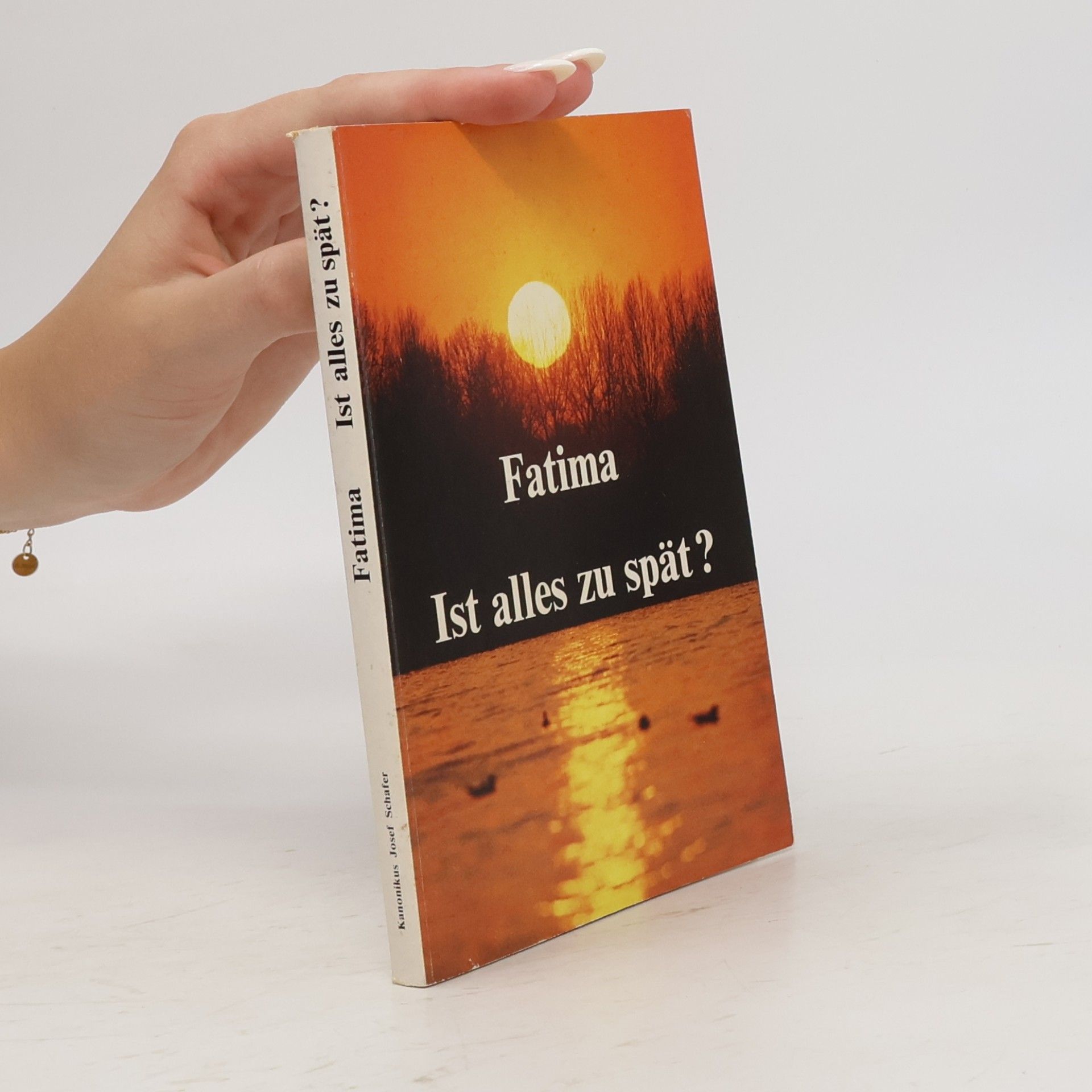 Josef Schäfer Fatima. Ist alles zu spät?