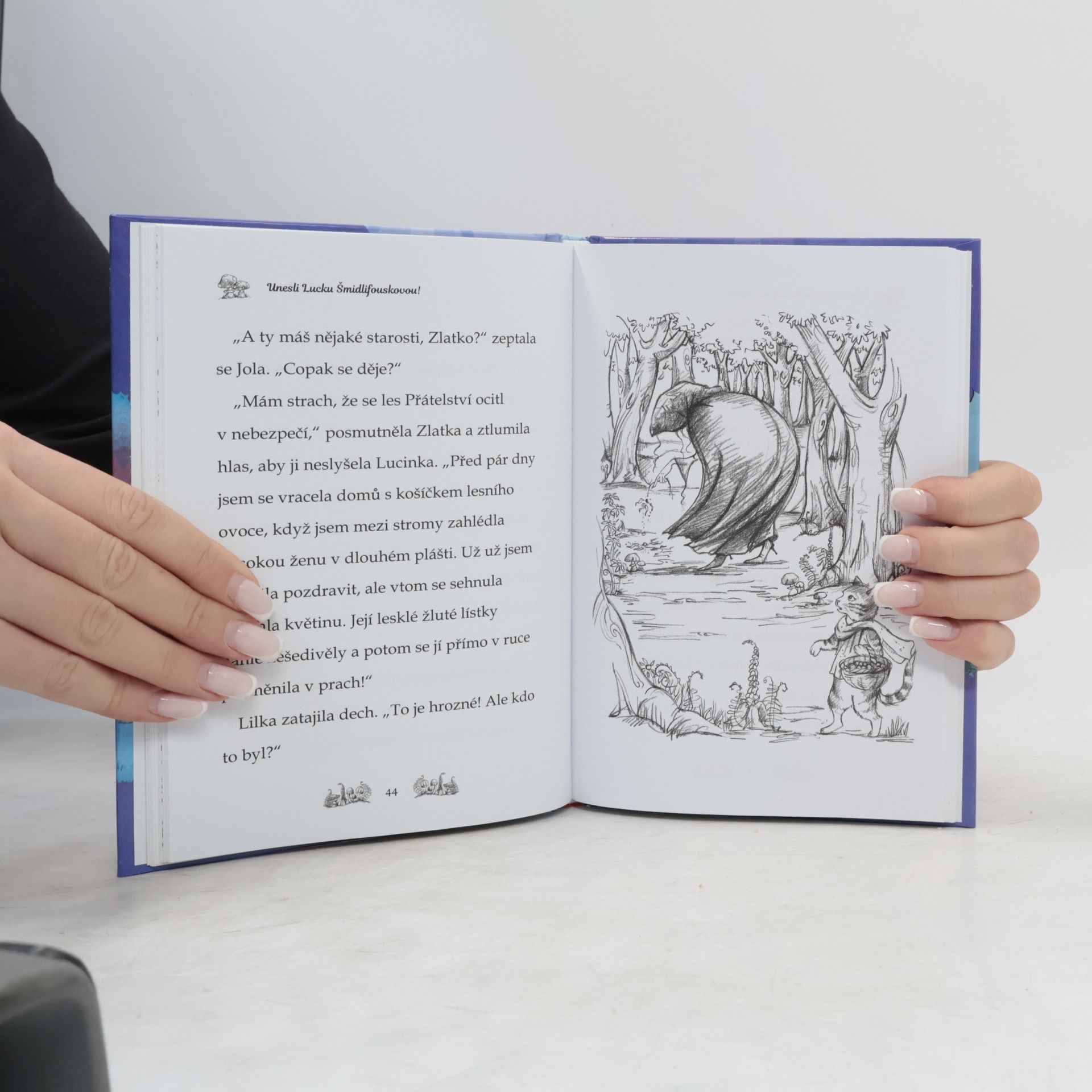 Daisy Meadows Kamarádky kouzelných zvířátek: Unesli Lucku Šmidlifouskovou!