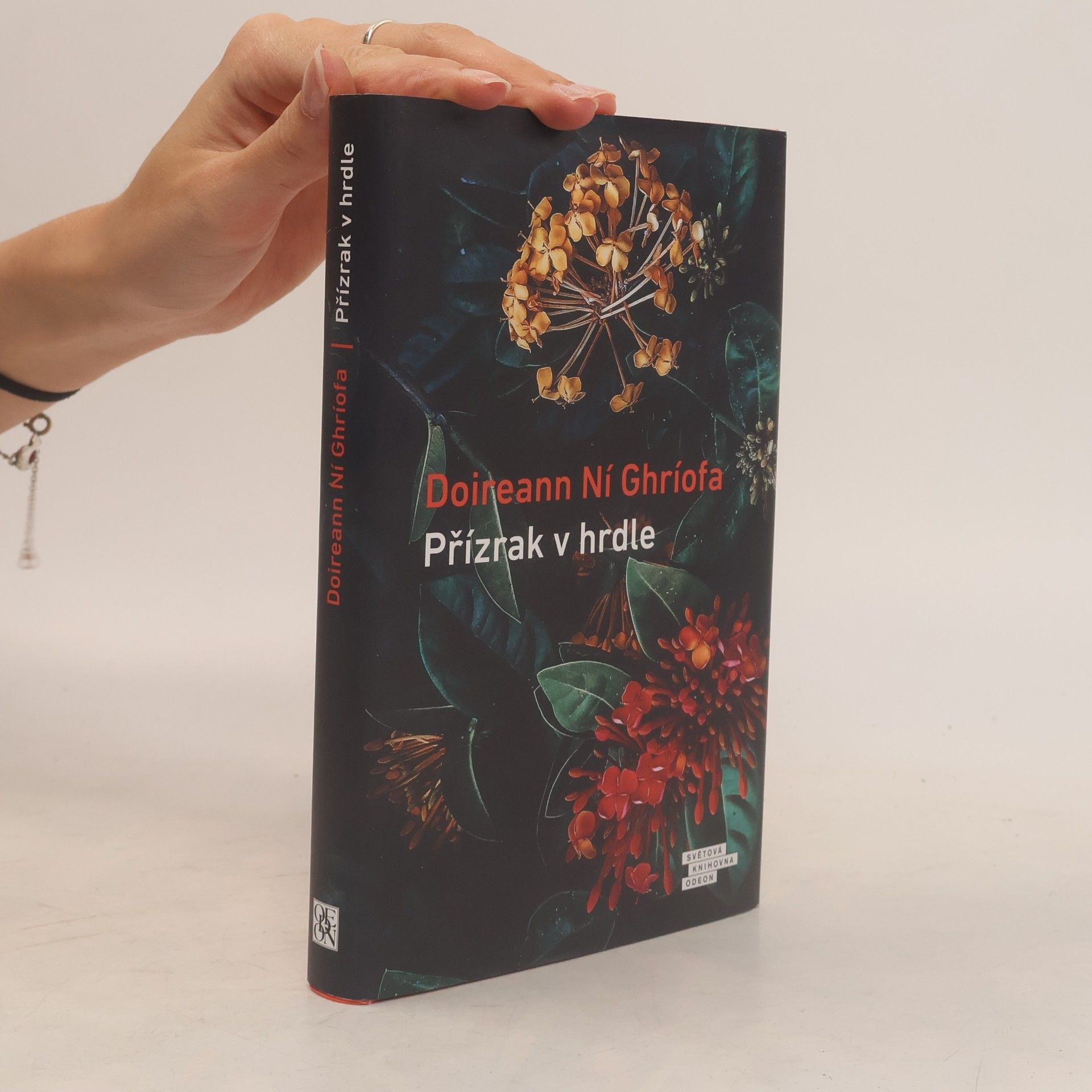 Doireann Ní Ghríofa Přízrak v hrdle