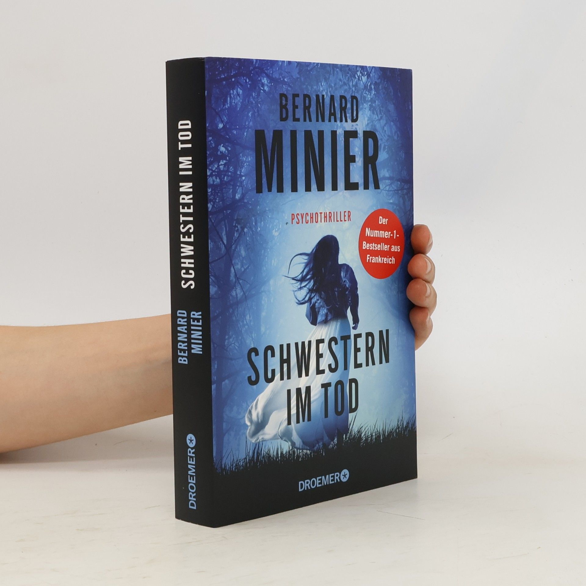 Bernard Minier Schwestern im Tod