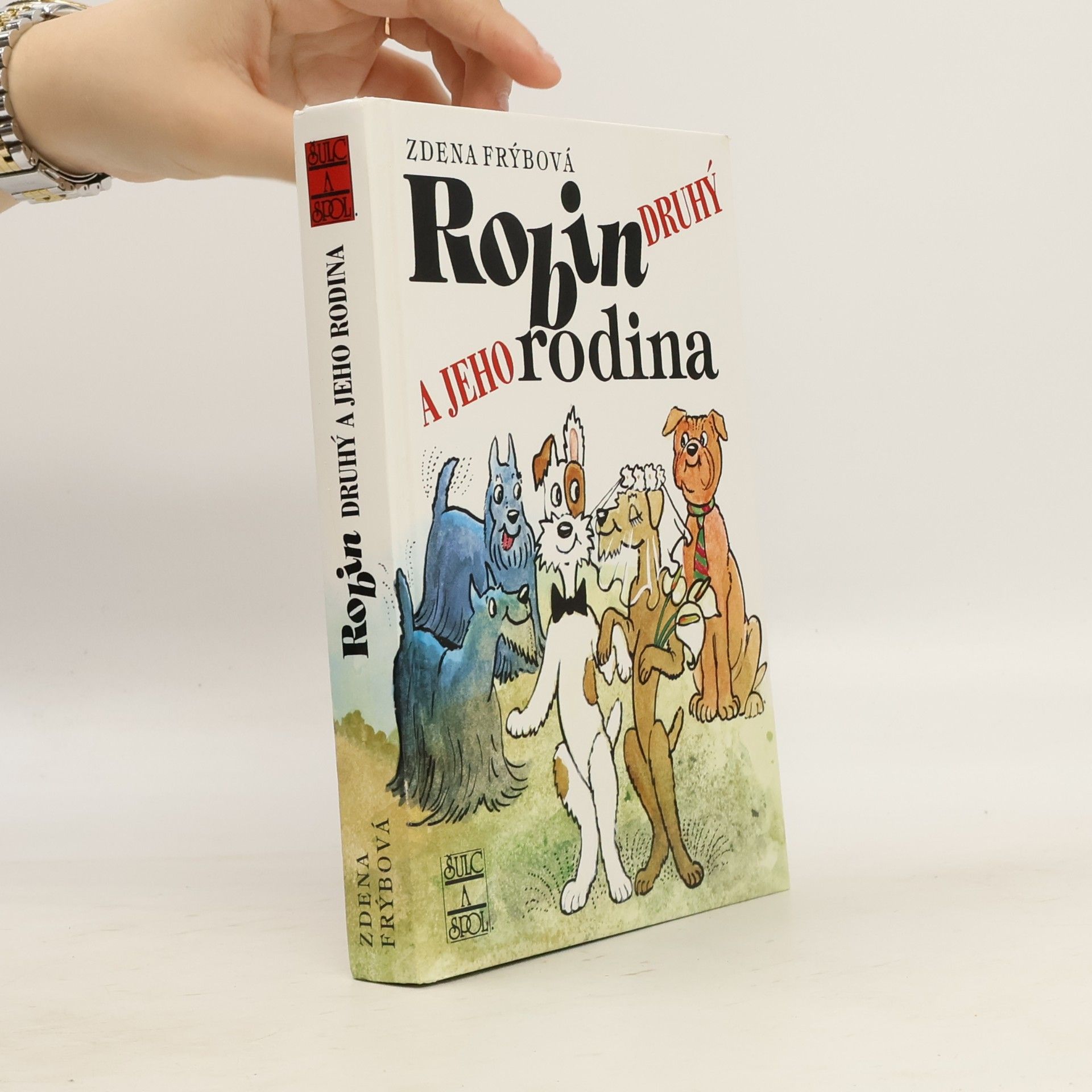 Zdena Frýbová Robin Druhý a jeho rodina
