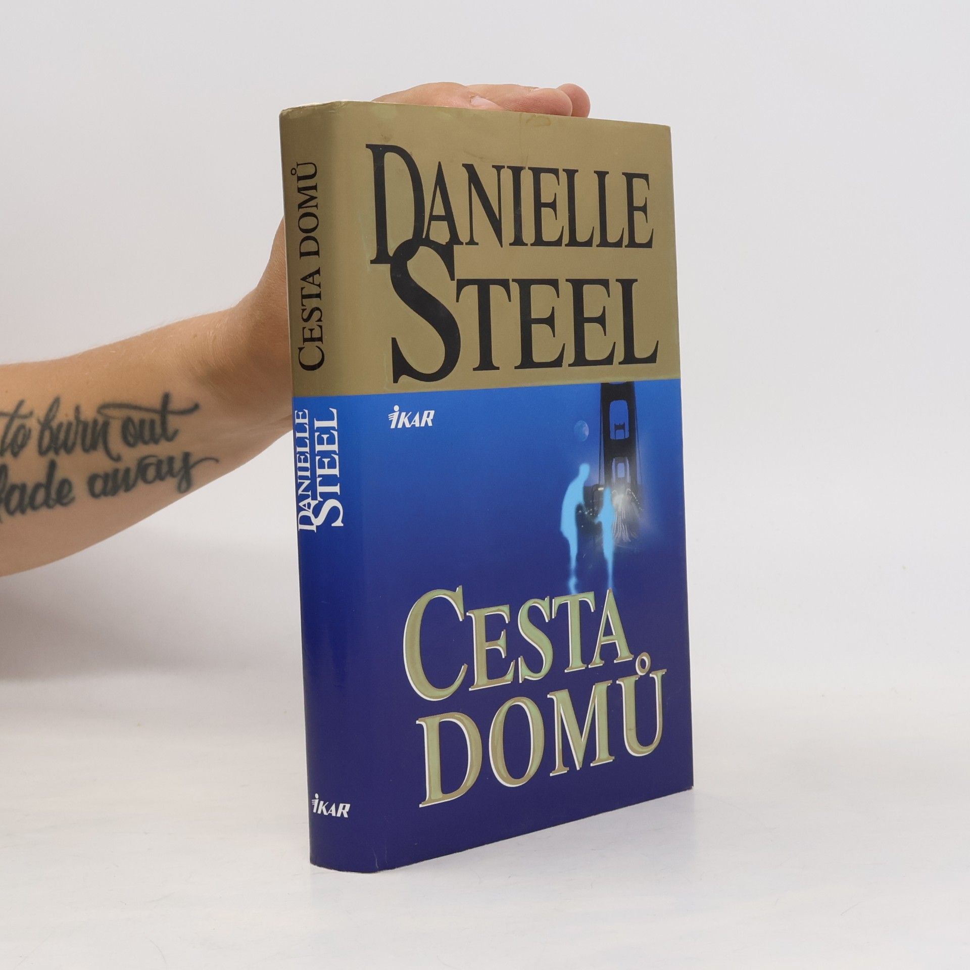 Danielle Steel Cesta domů