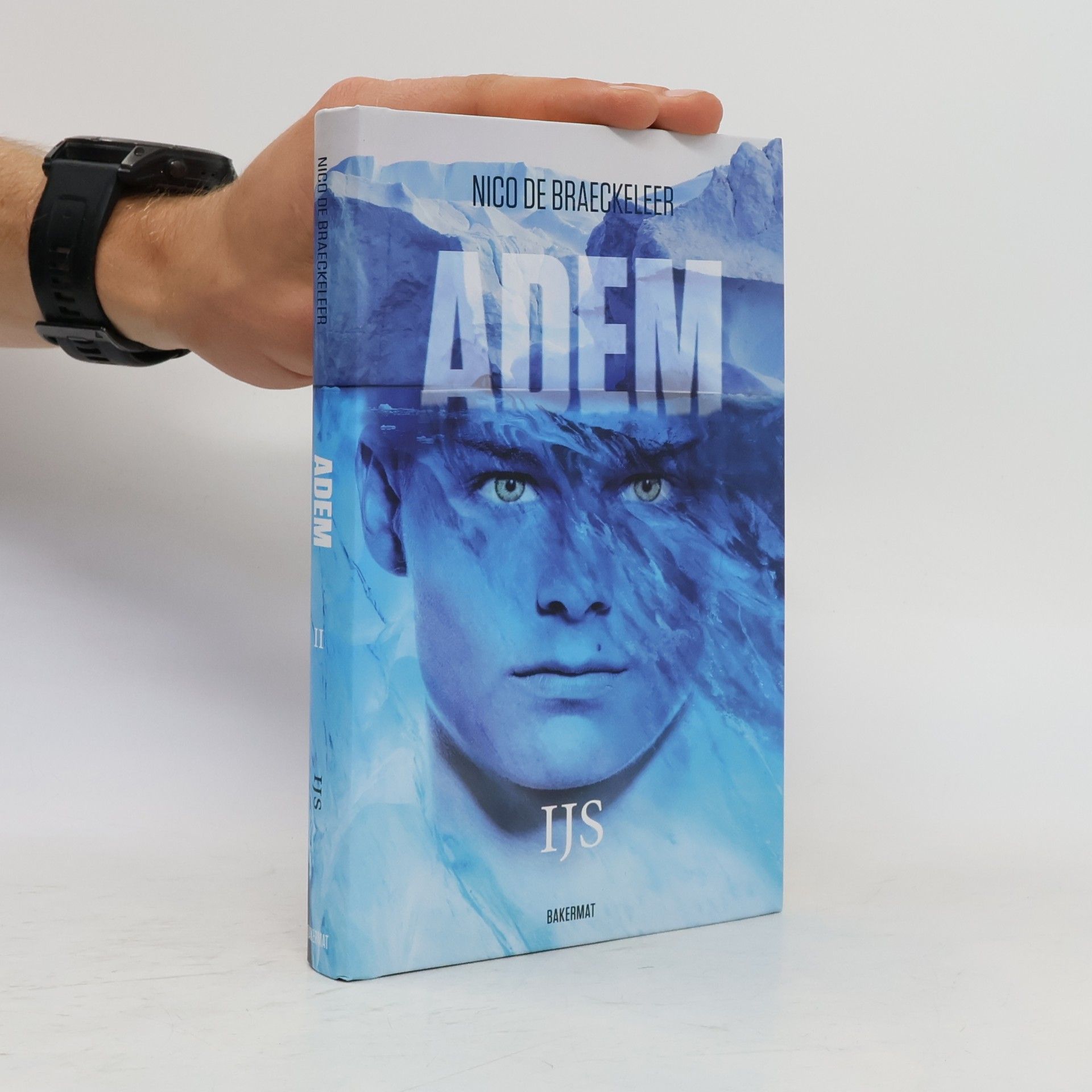 Nico de Braeckeleer Ijs - 2: Adem