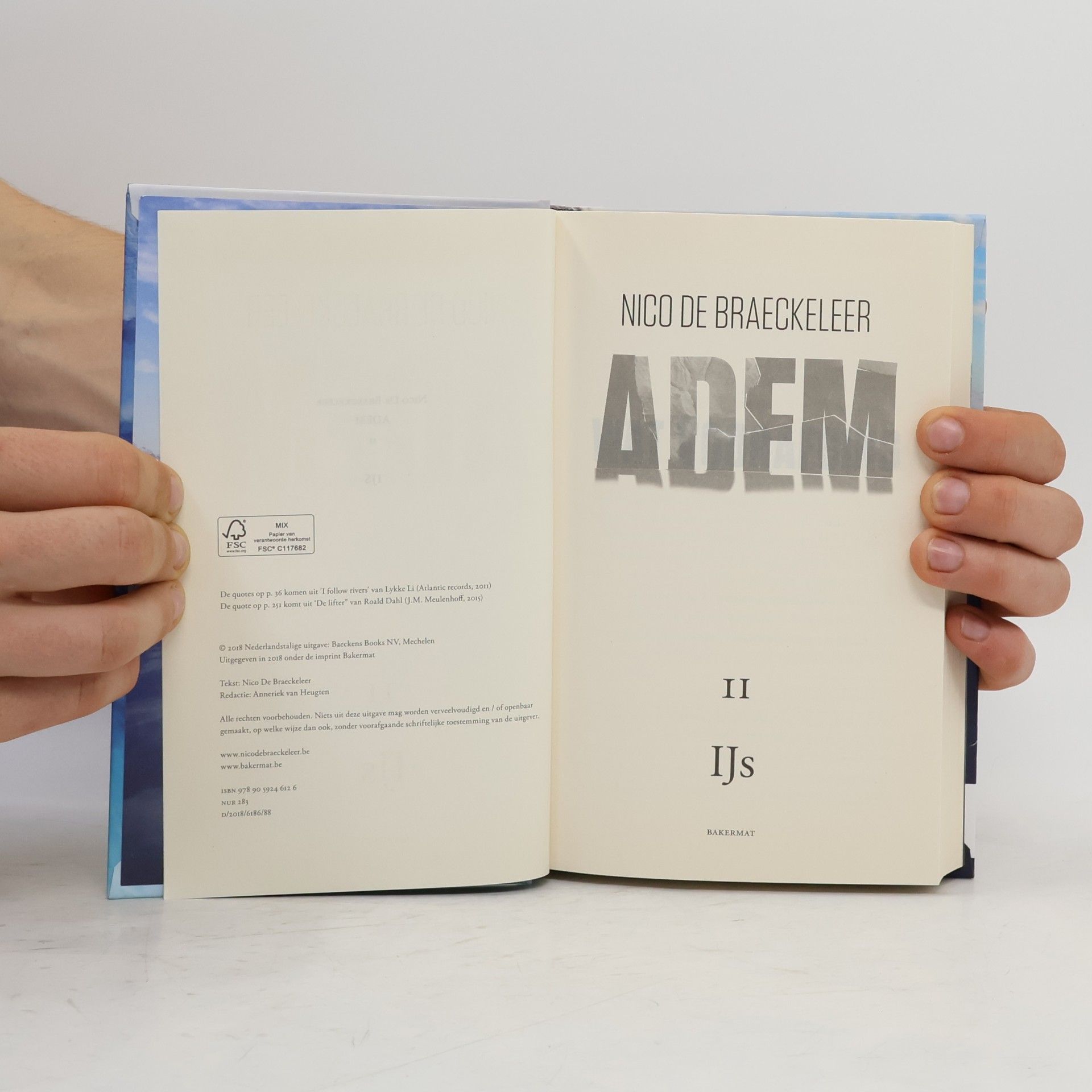 Nico de Braeckeleer Ijs - 2: Adem