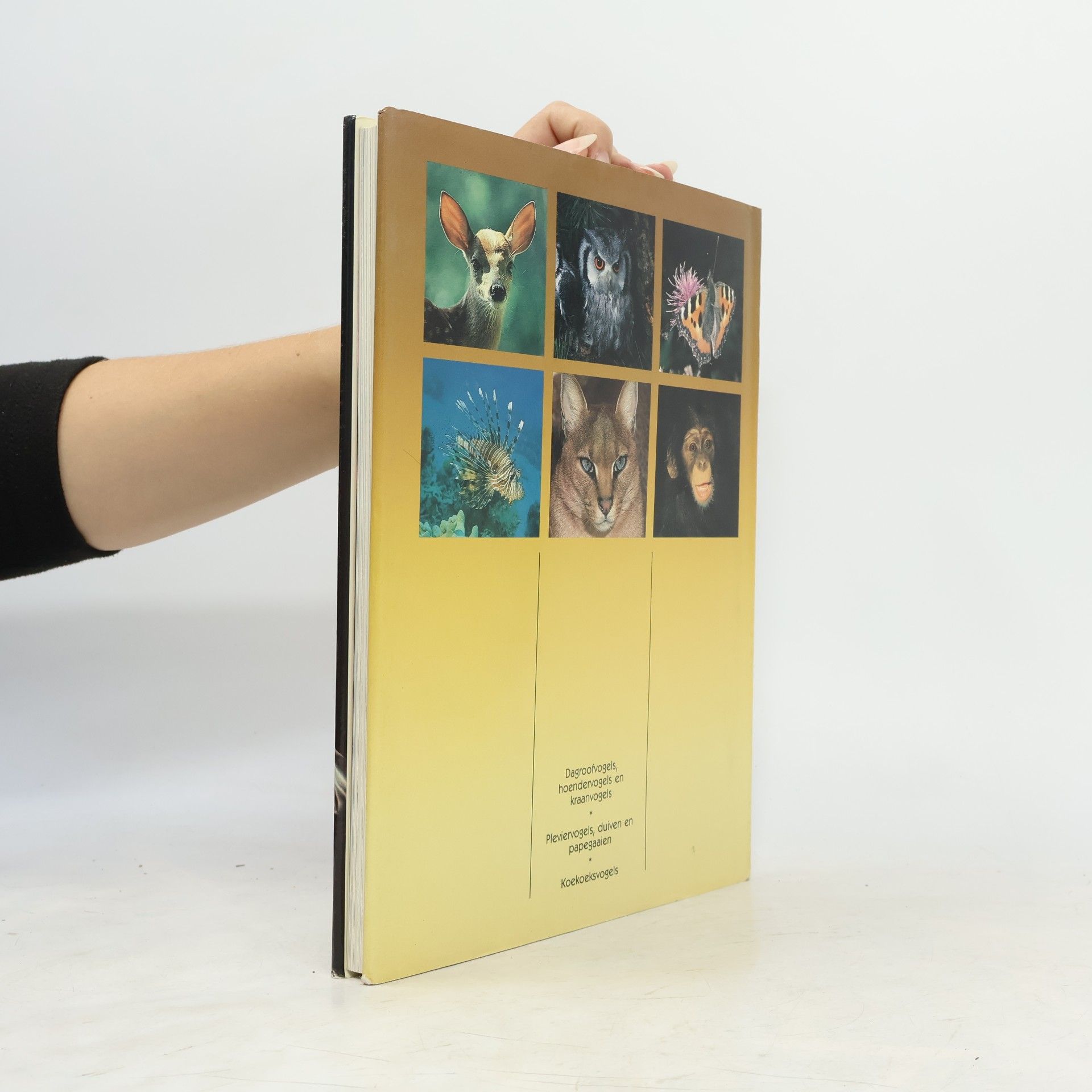 Autores varios De geheimen van het Dierenrijk. Vogels 1