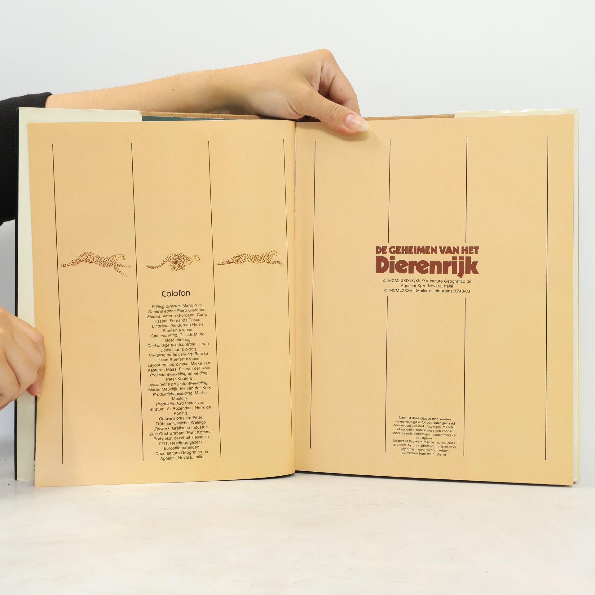 Autores varios De geheimen van het Dierenrijk. Vogels 1