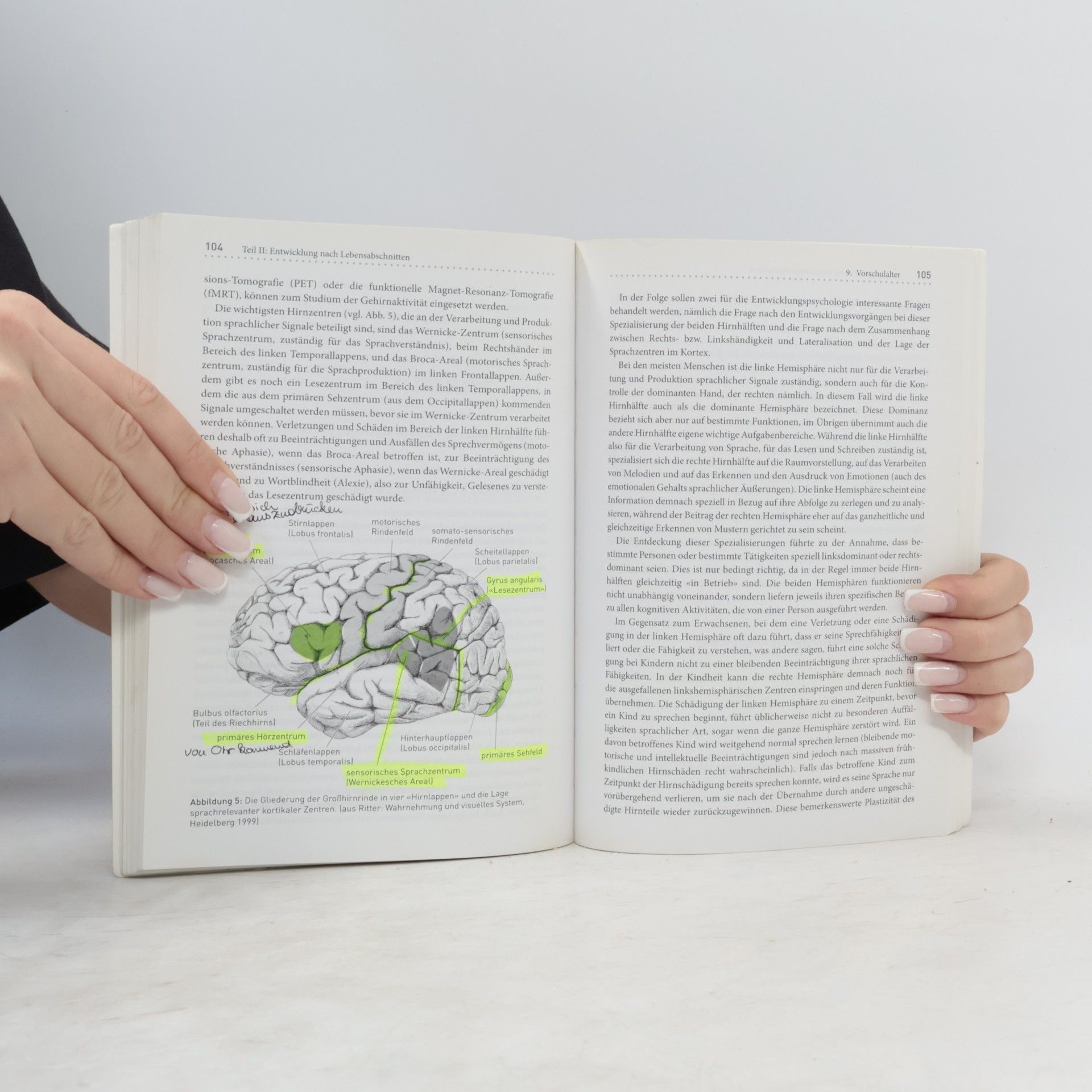 Peter Rossmann Einführung in die Entwicklungspsychologie des Kindes- und Jugendalters