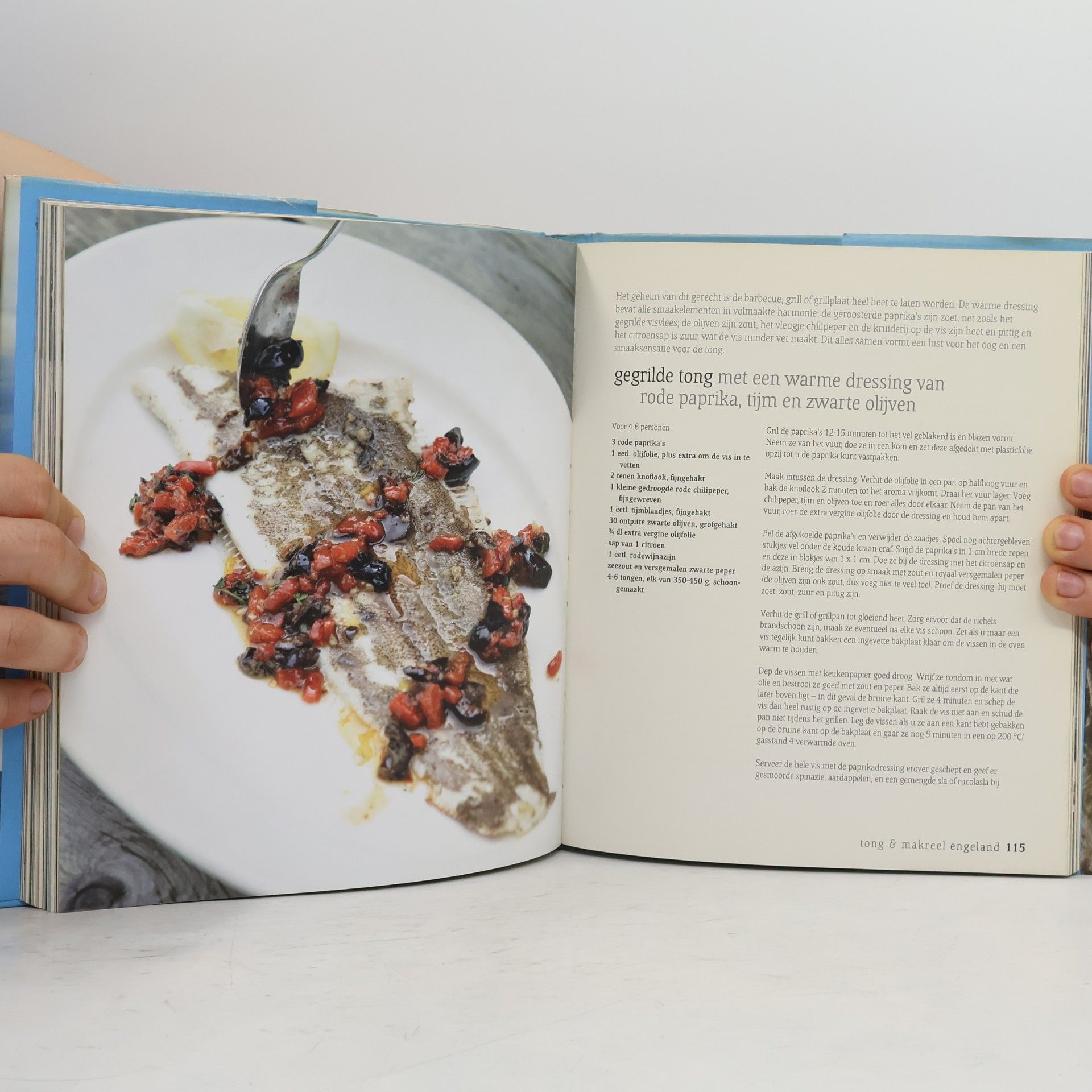 Bart van Olphen Het Fishes kookboek