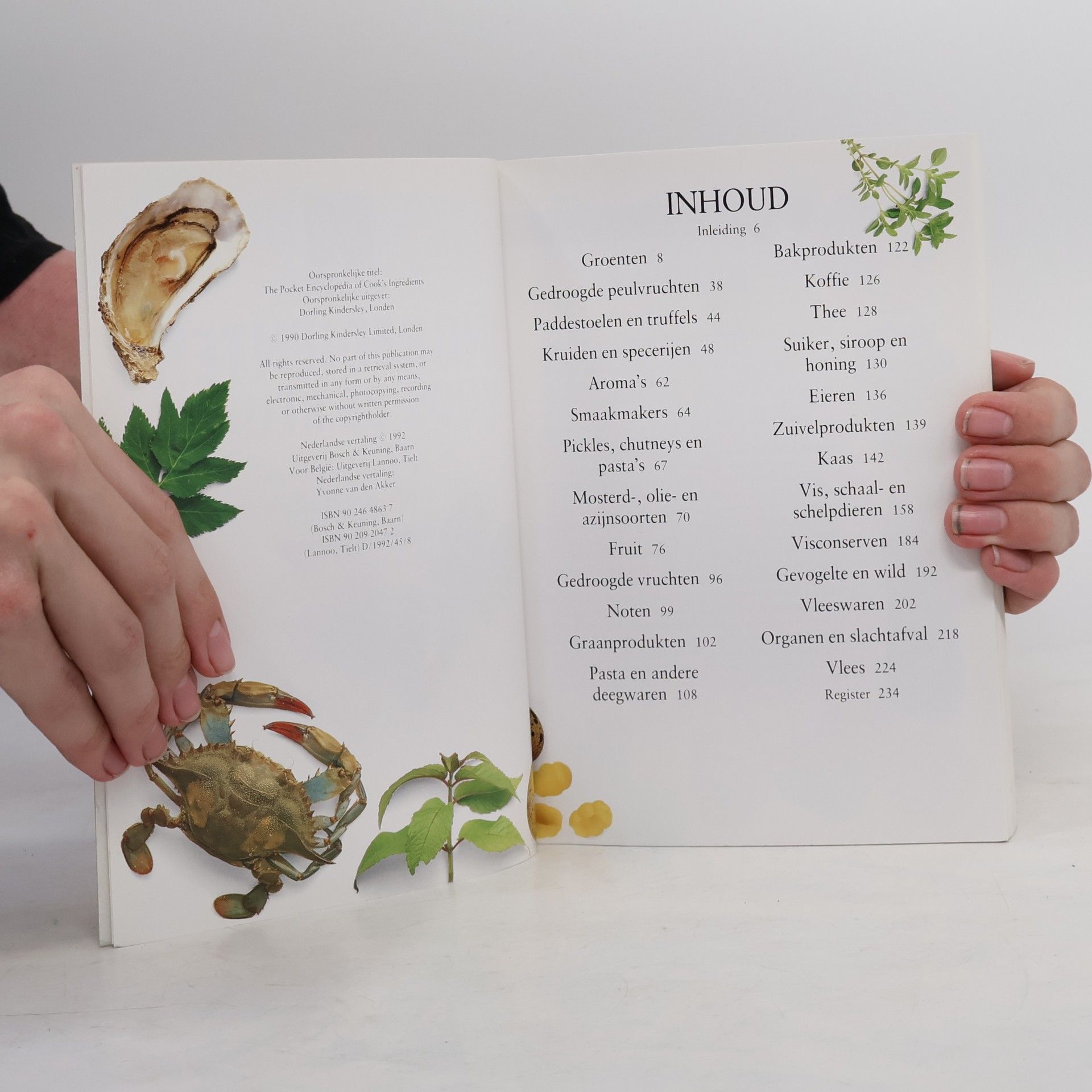 Ingrediënten voor de keuken