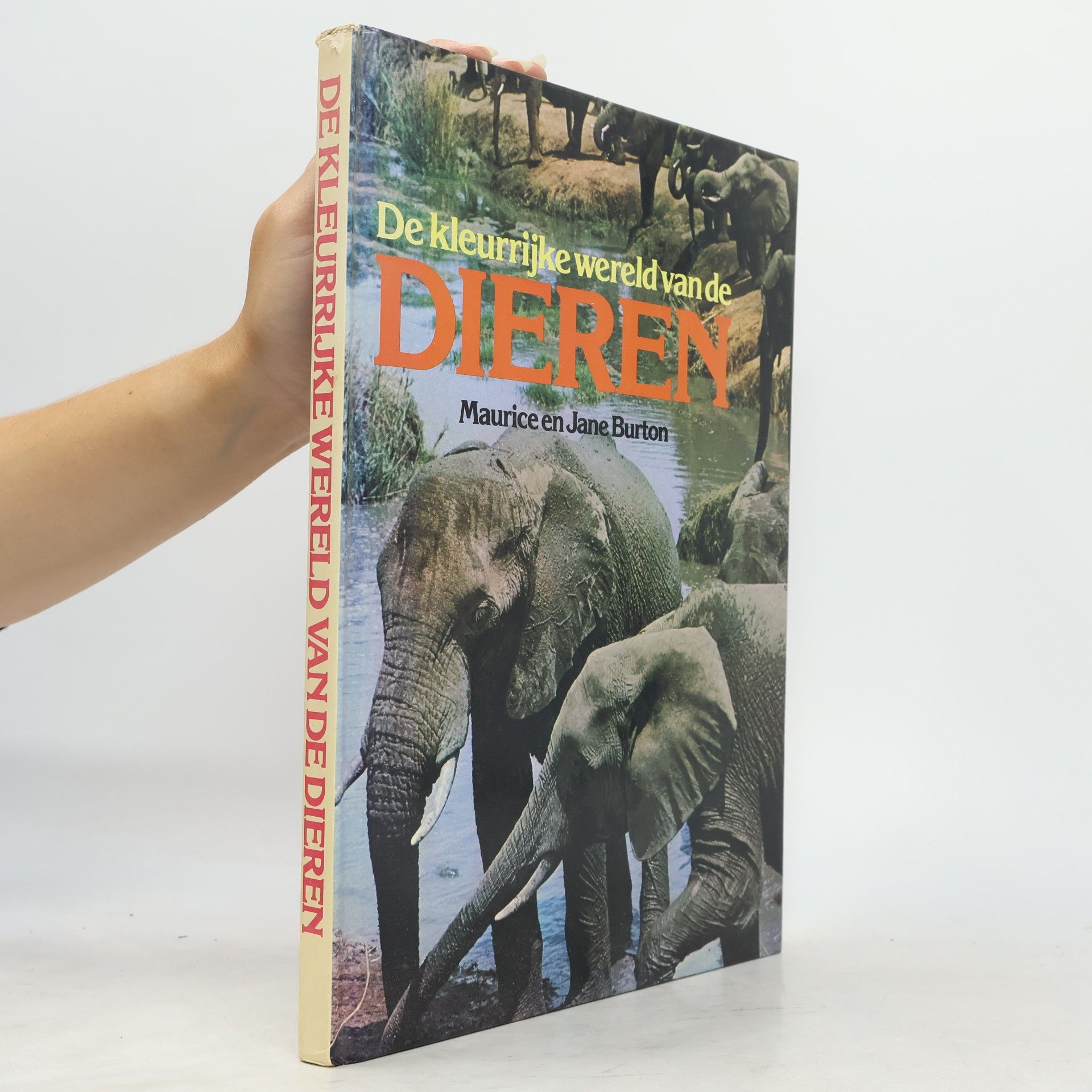De kleurrijke wereld van de dieren