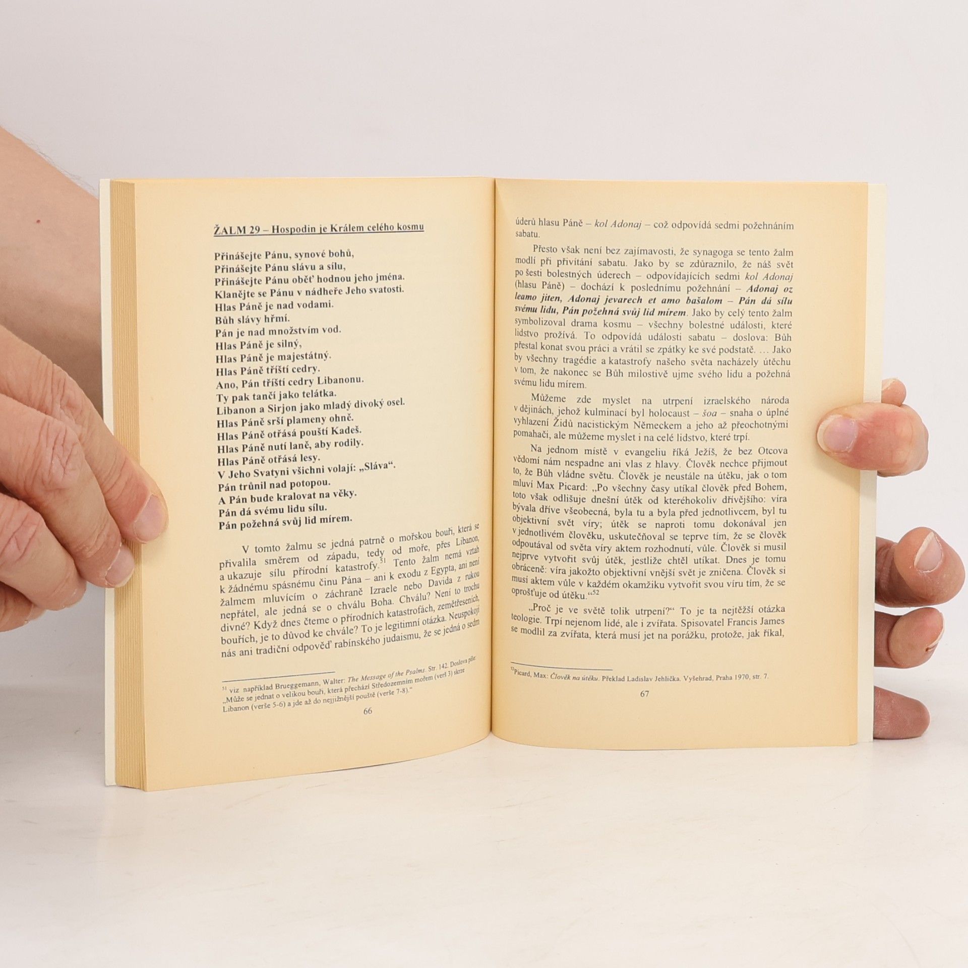Josef Blaha Úvod do Knihy žalmů v zrcadle poesie