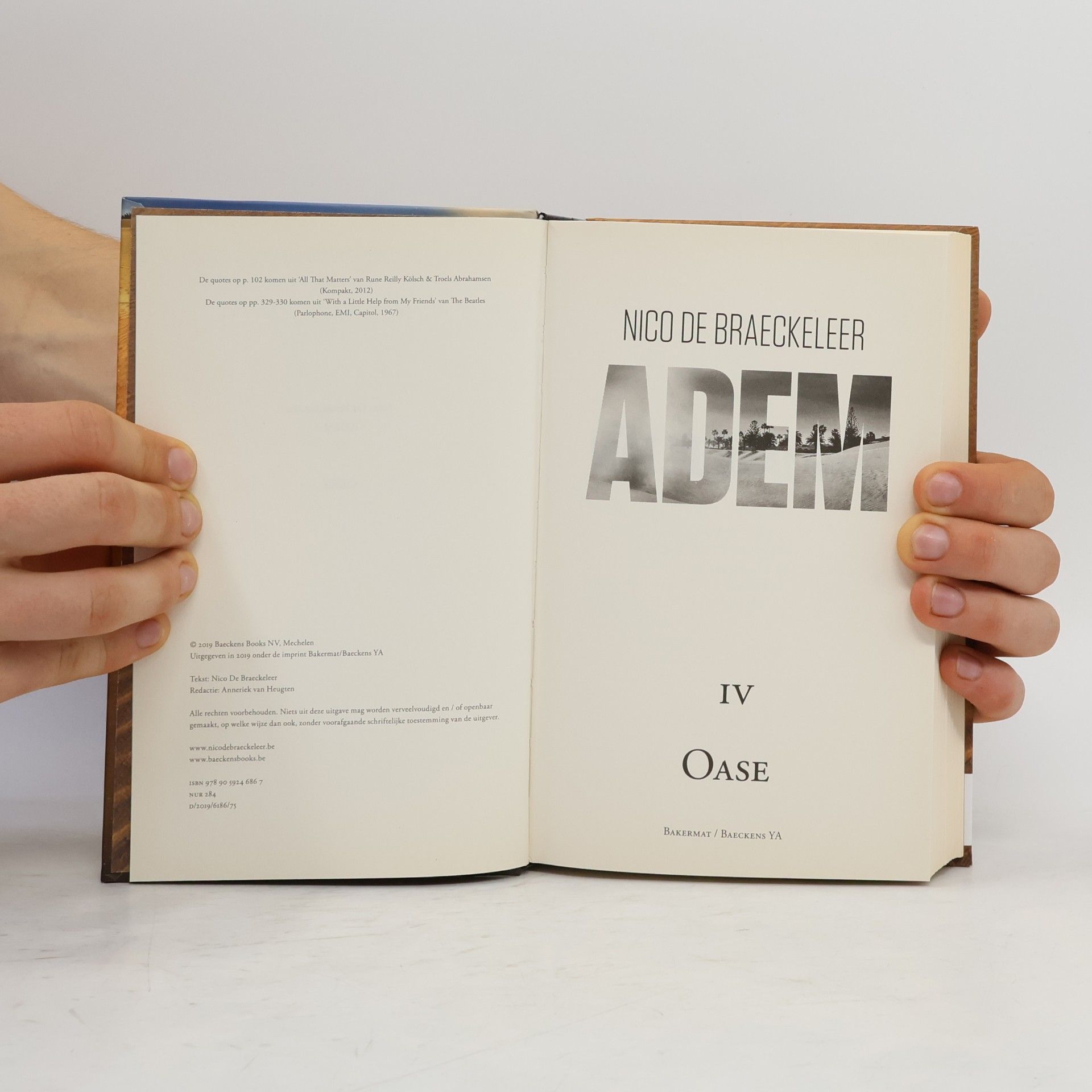 Nico de Braeckeleer Oase - 4: Adem