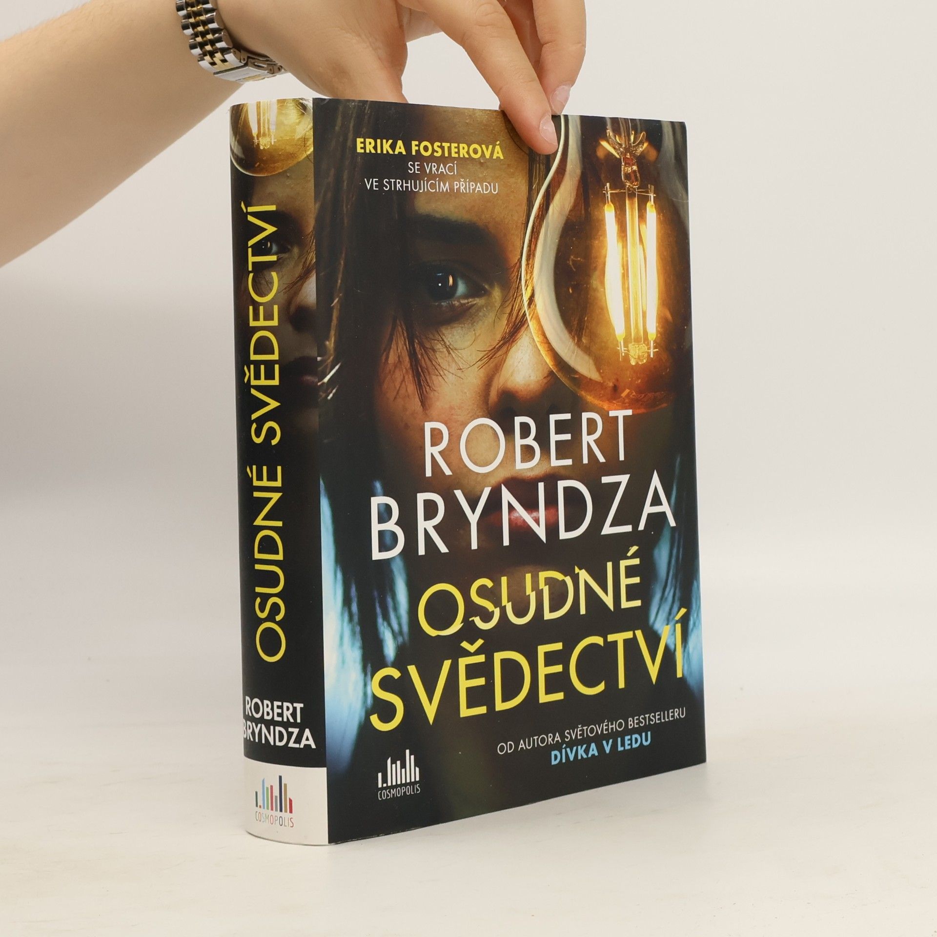 Robert Bryndza Osudné svědectví