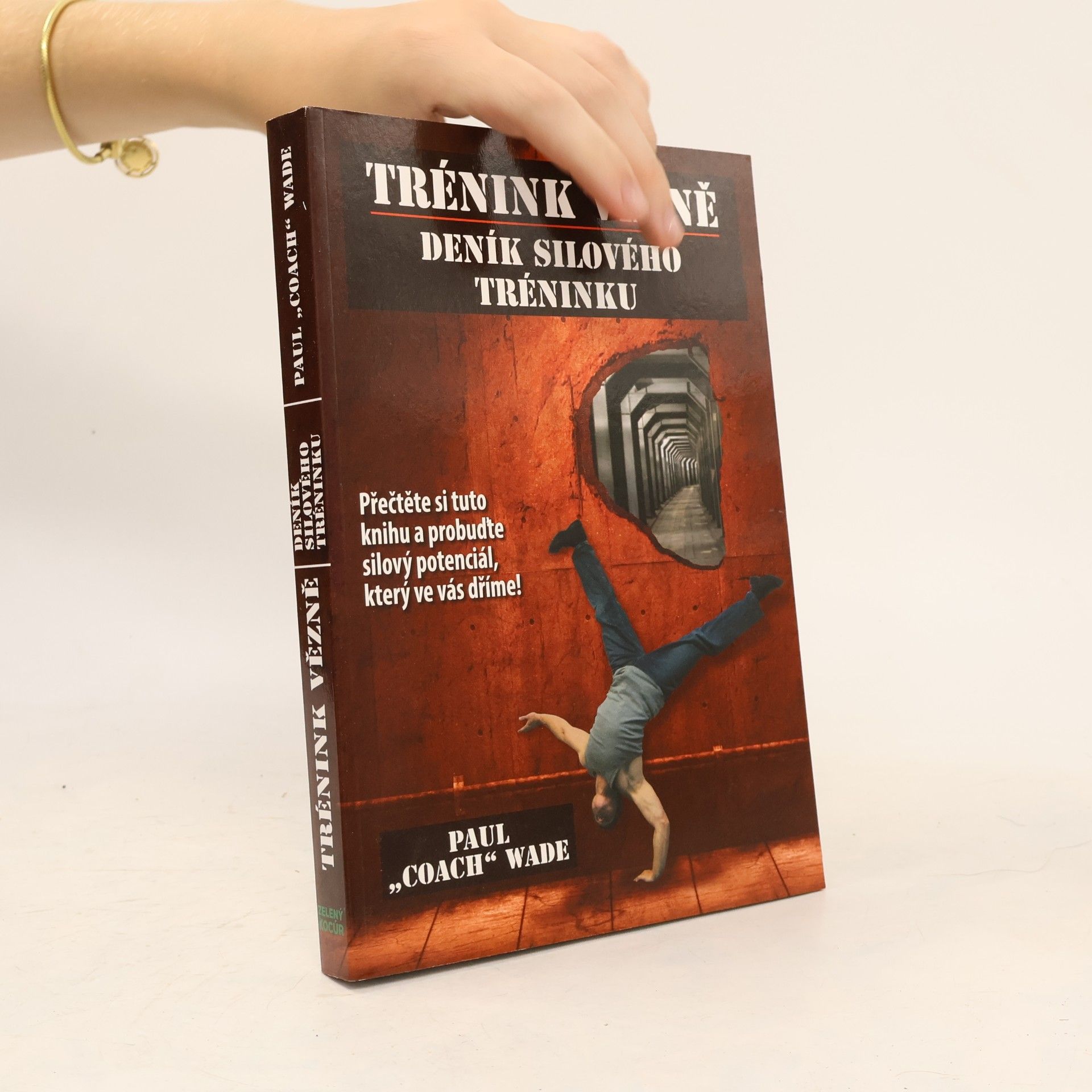 Paul Wade Trénink vězně - Deník silového tréninku