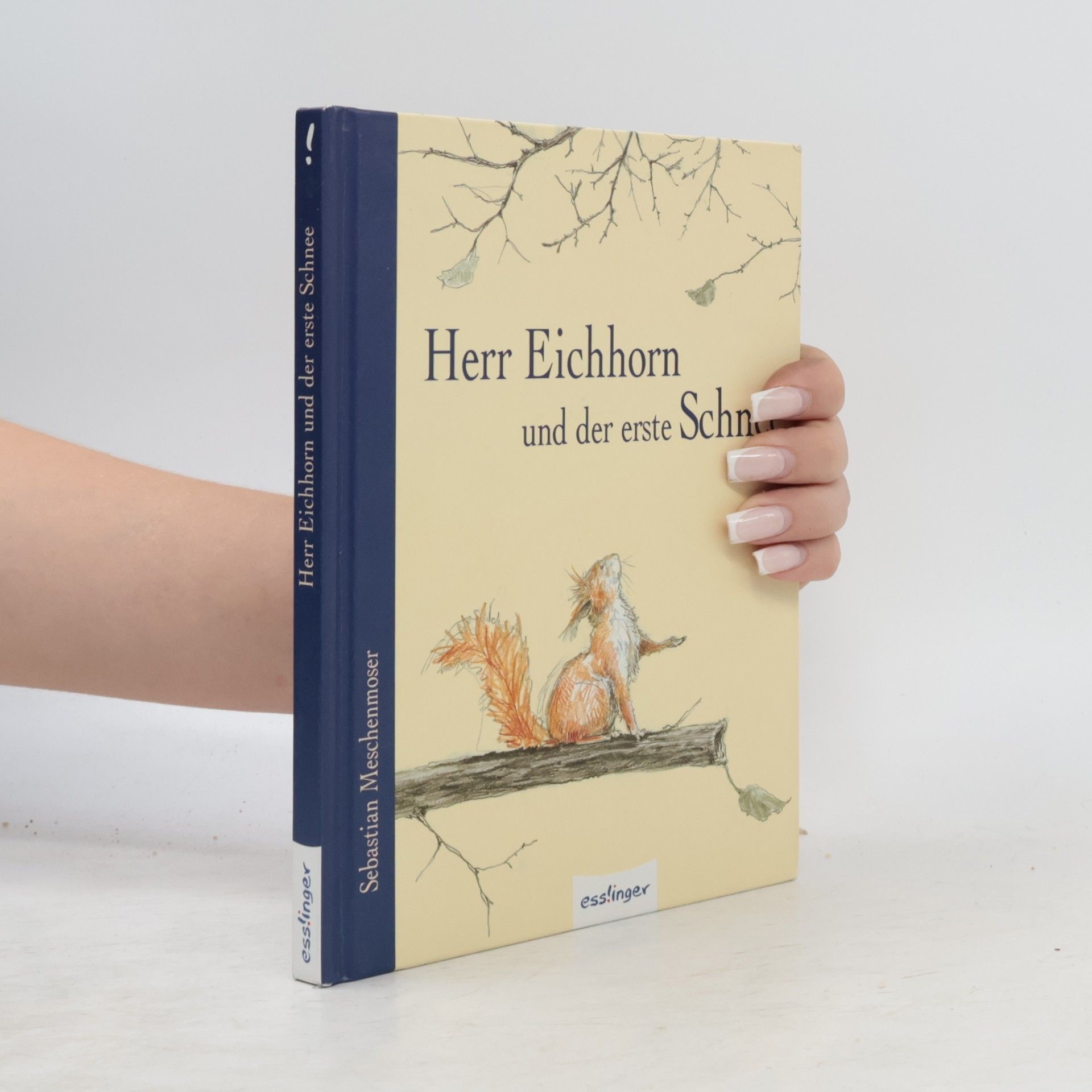 Sebastian Meschenmoser Herr Eichhorn und der erste Schnee