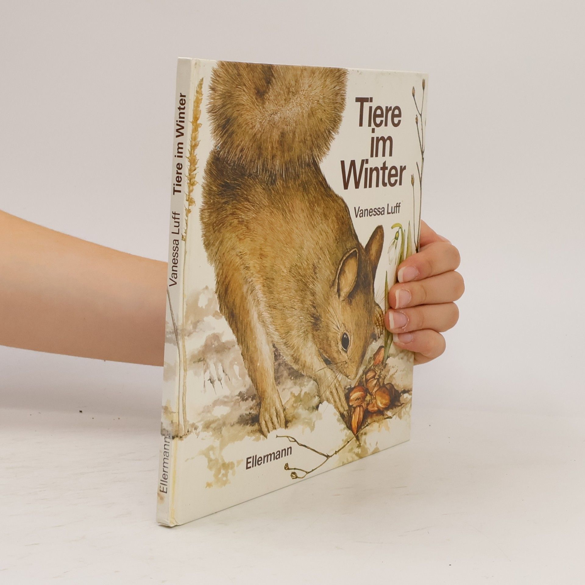 Vanessa Luff Tiere im Winter
