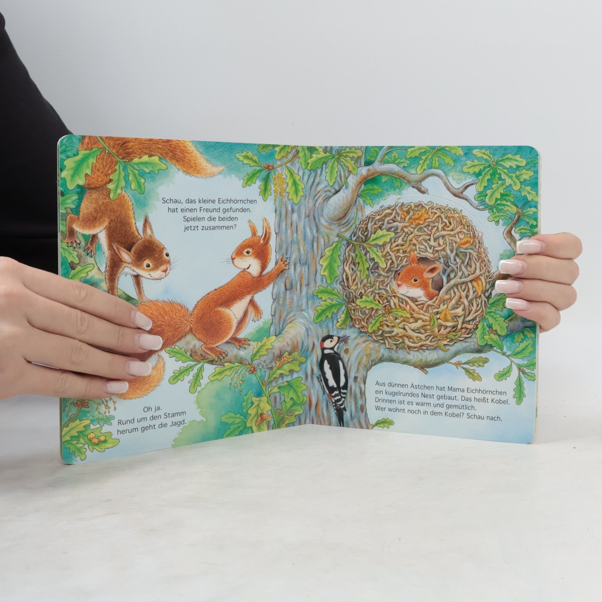 Hans Günther Döring Entdecke die Tiere - das kleine Eichhörnchen