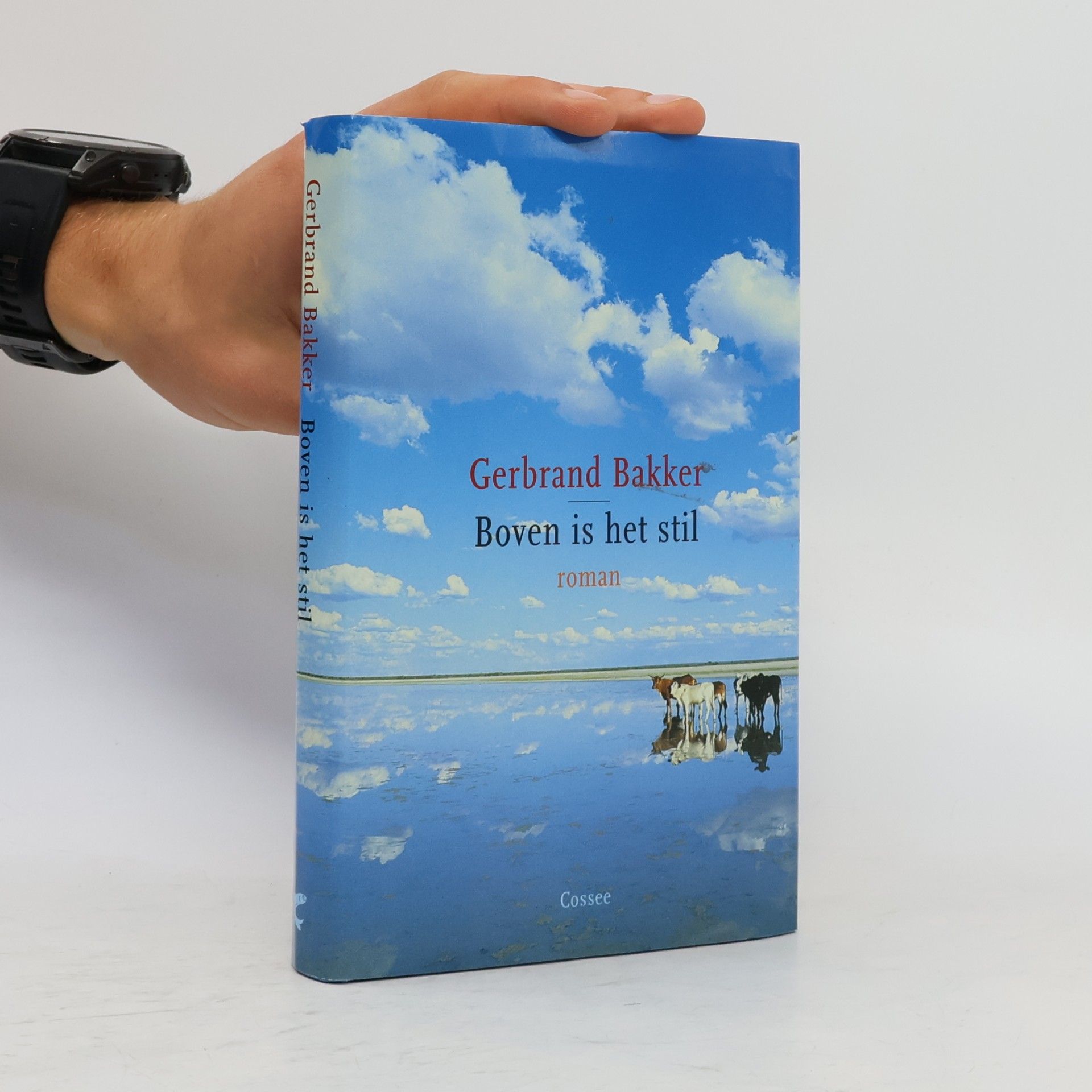 Gerbrand Bakker Boven is het stil