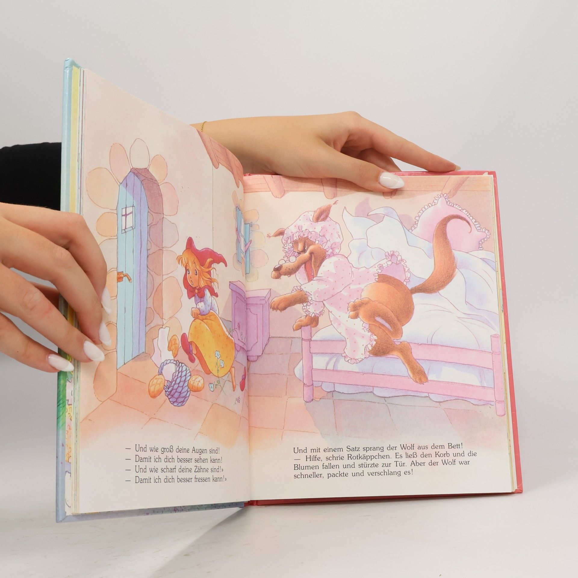 Gérald Raimon Das Buch der großen Märchen