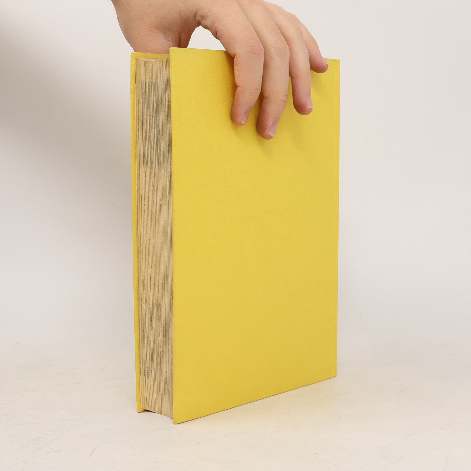 kolektiv Das neue große Kochbuch
