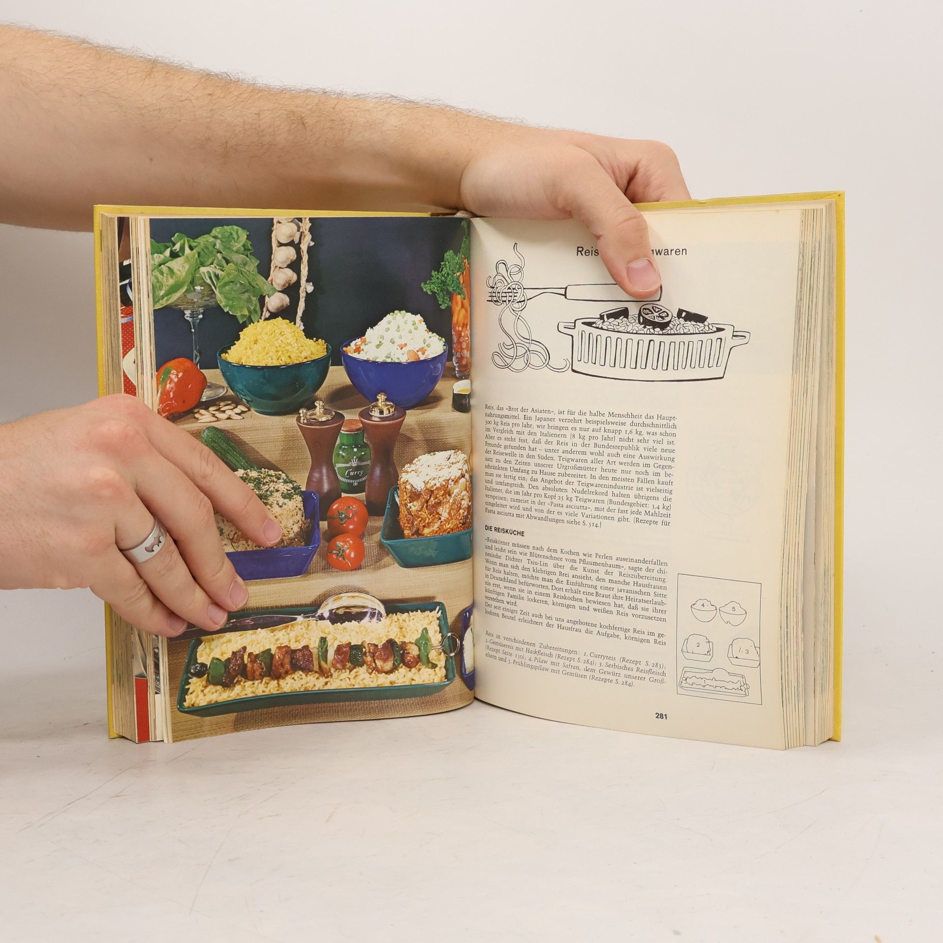 kolektiv Das neue große Kochbuch