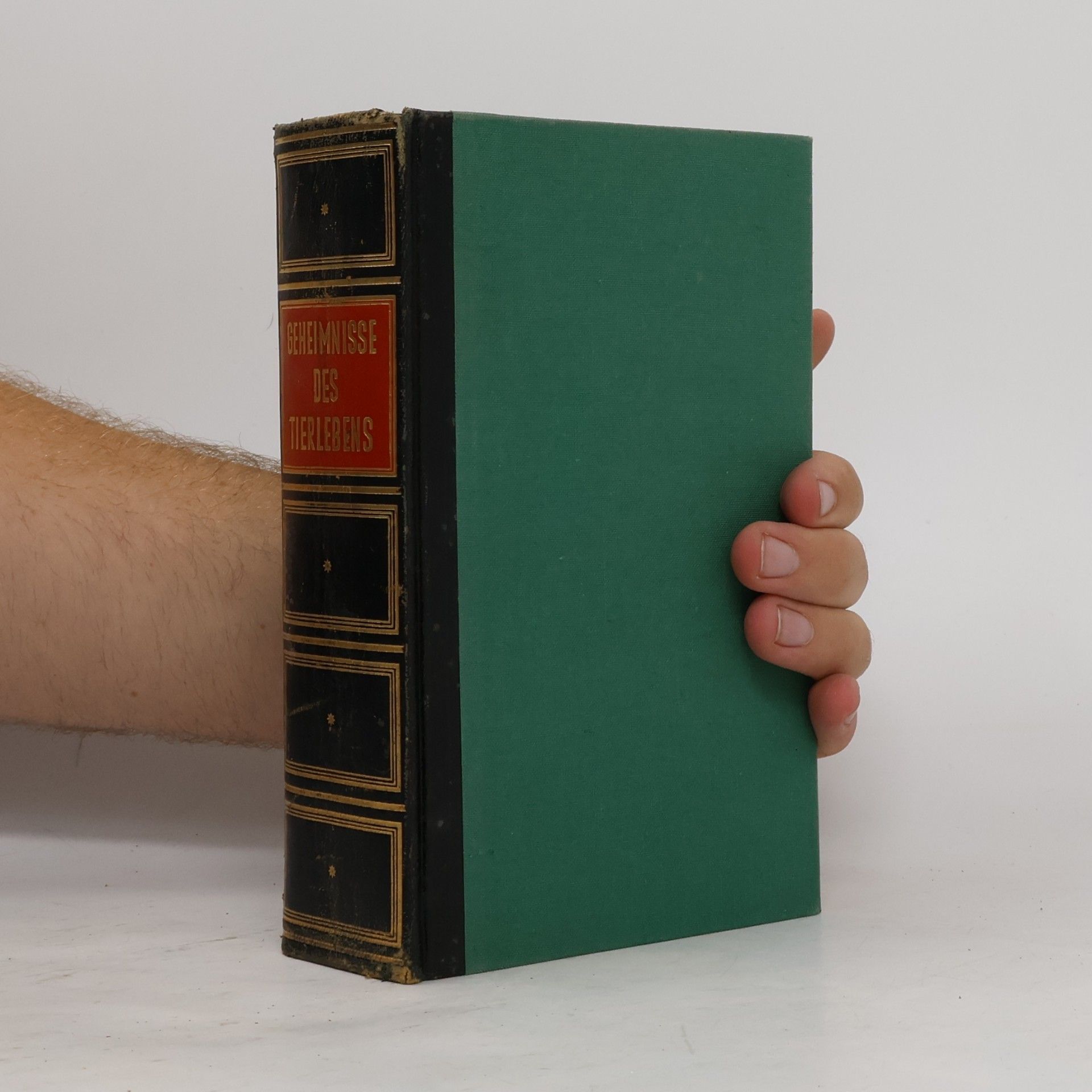 Autorenkollektiv Geheimnisse des Tierlebens