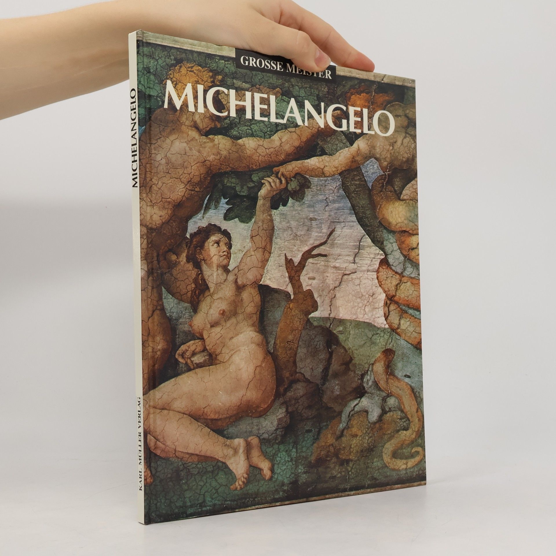 Autorenkollektiv Grosse Meister: Michelangelo