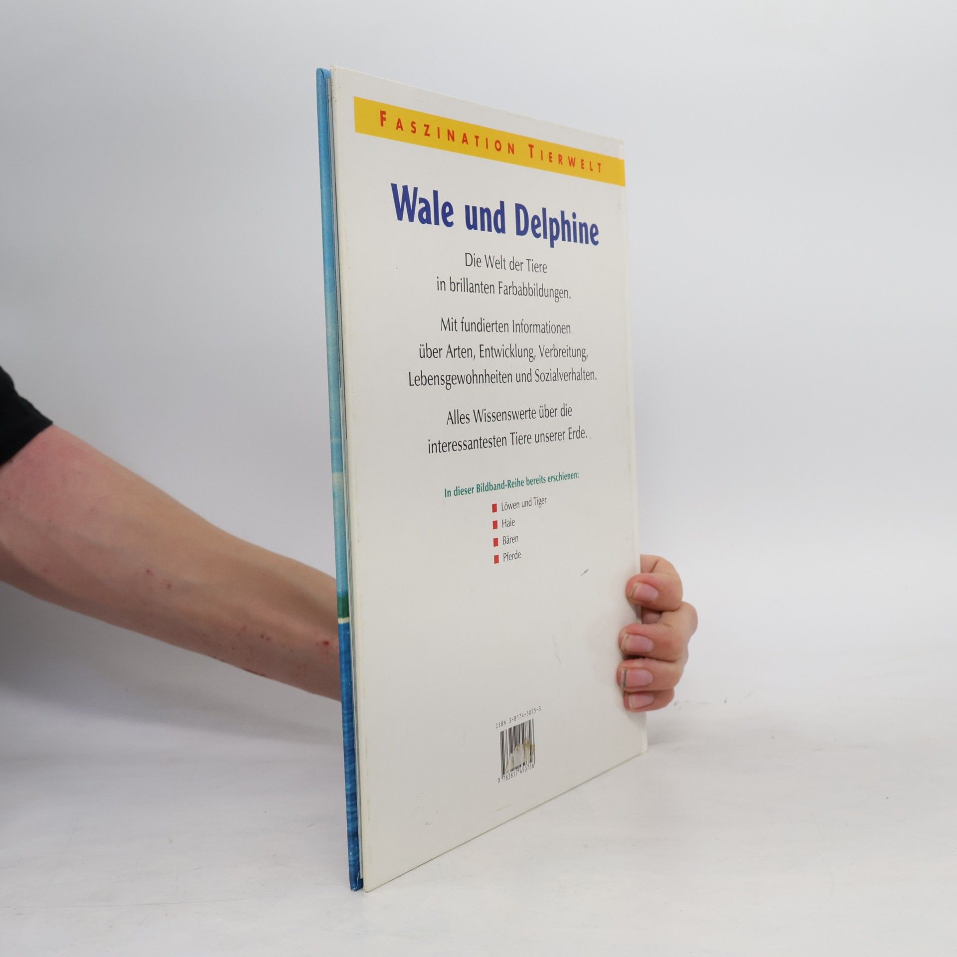 Autorenkollektiv Wale und Delphine