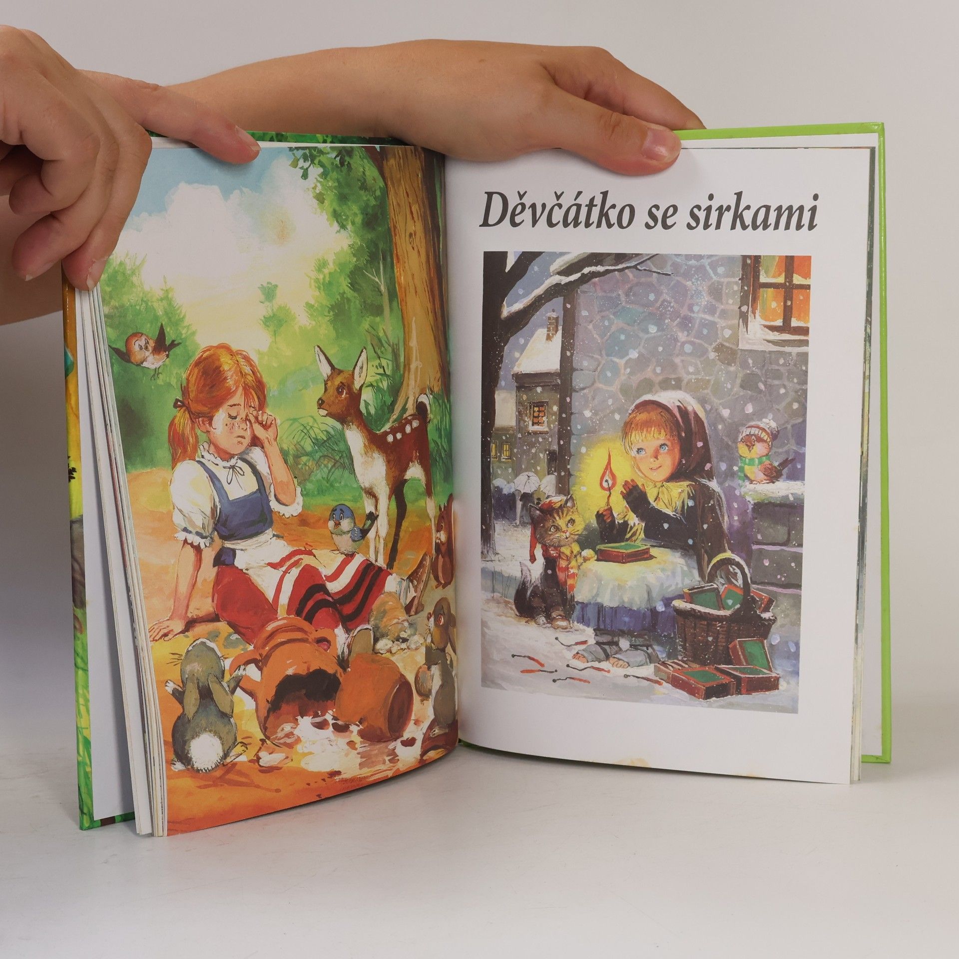 Collectif d'auteurs Robin Hood a jiné příběhy