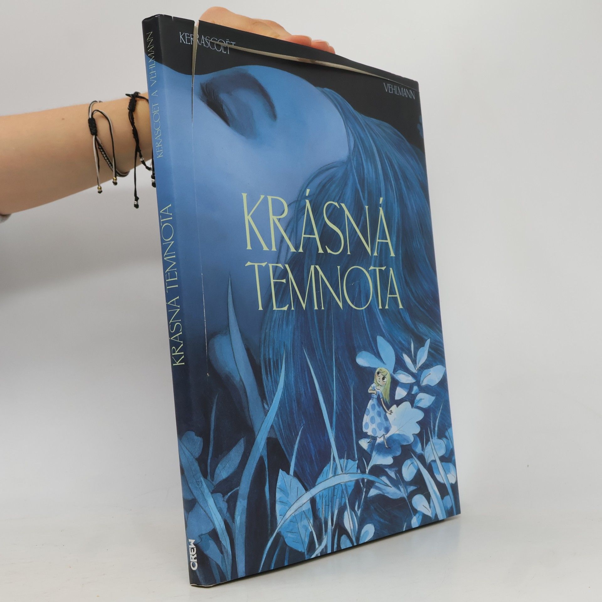 Fabien Vehlmann Krásná temnota