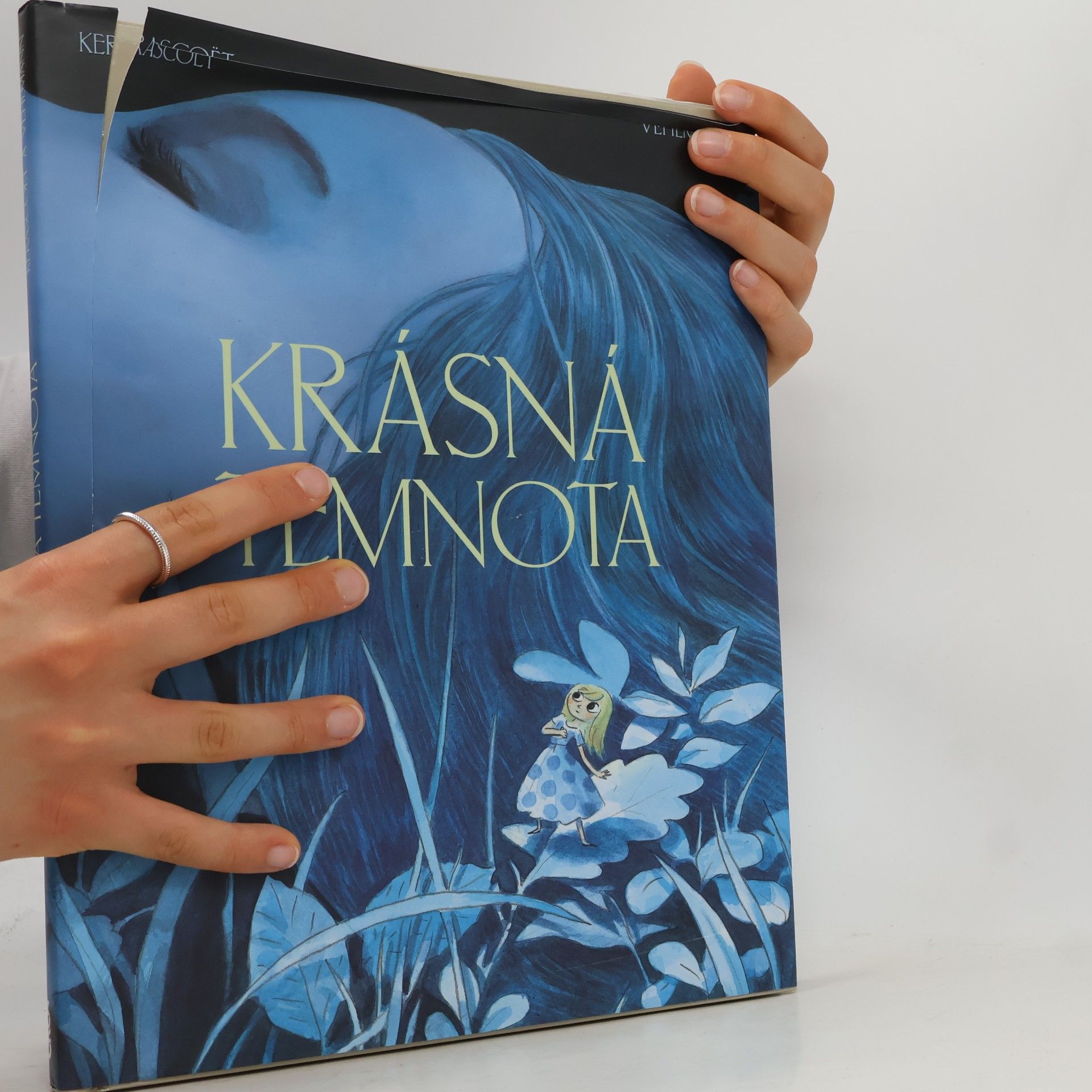 Fabien Vehlmann Krásná temnota